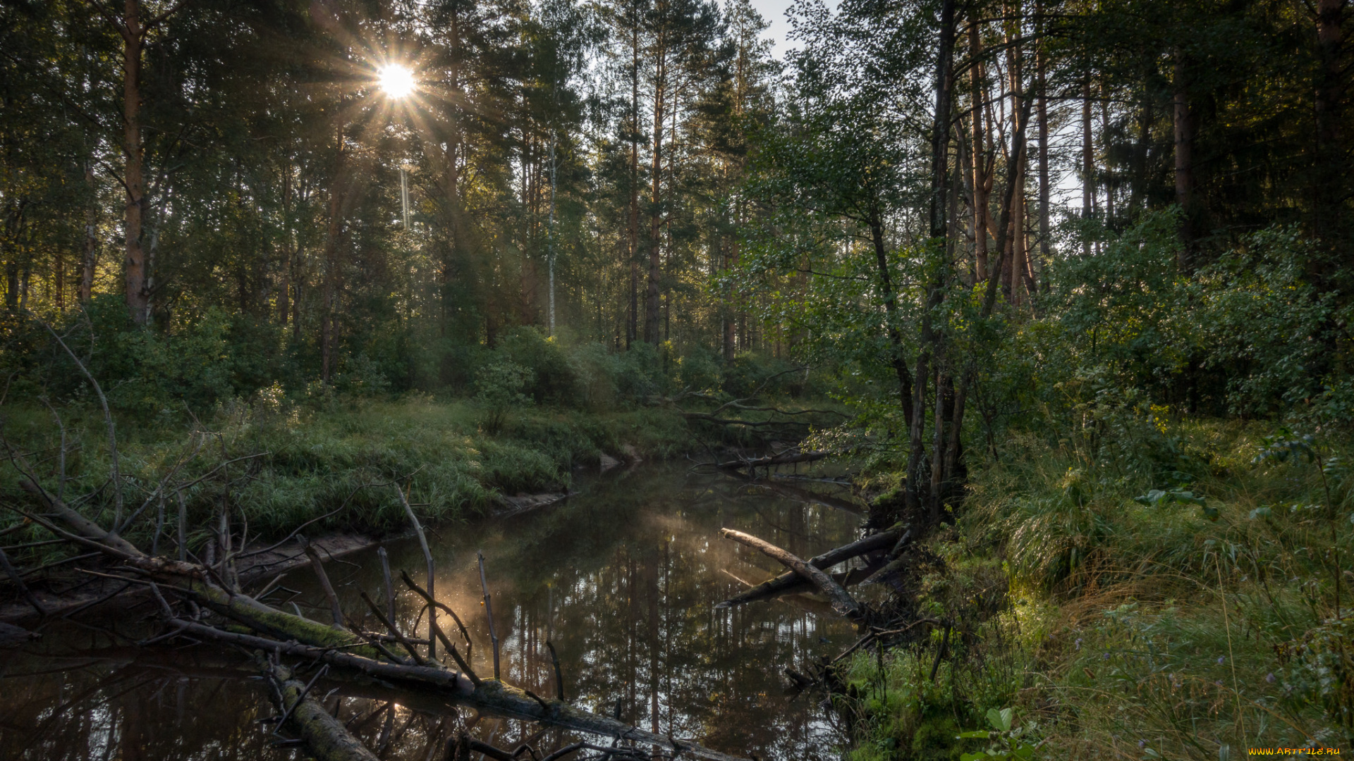 природа, реки, озера, простор