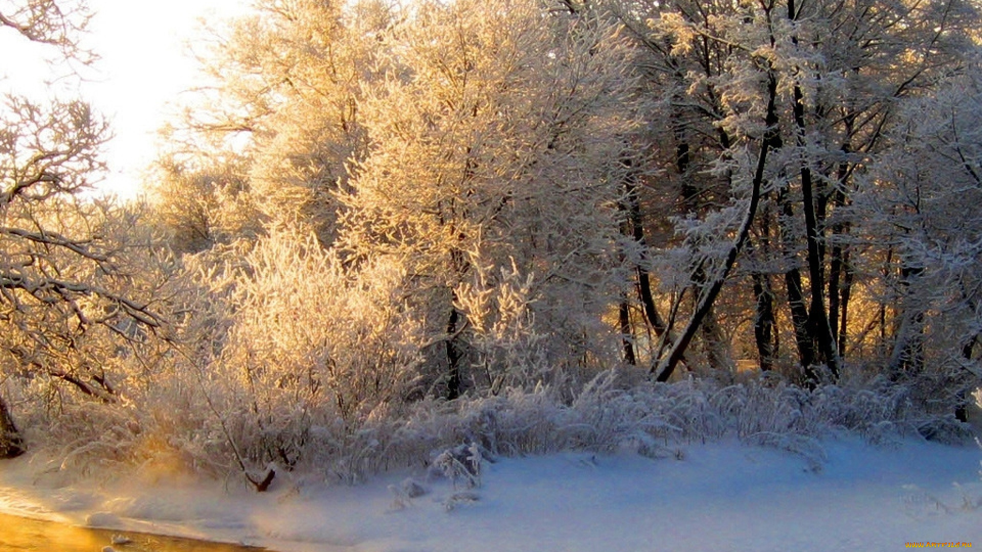 природа, зима, оранжевый, иней, седина, свет, река, лес, отражение