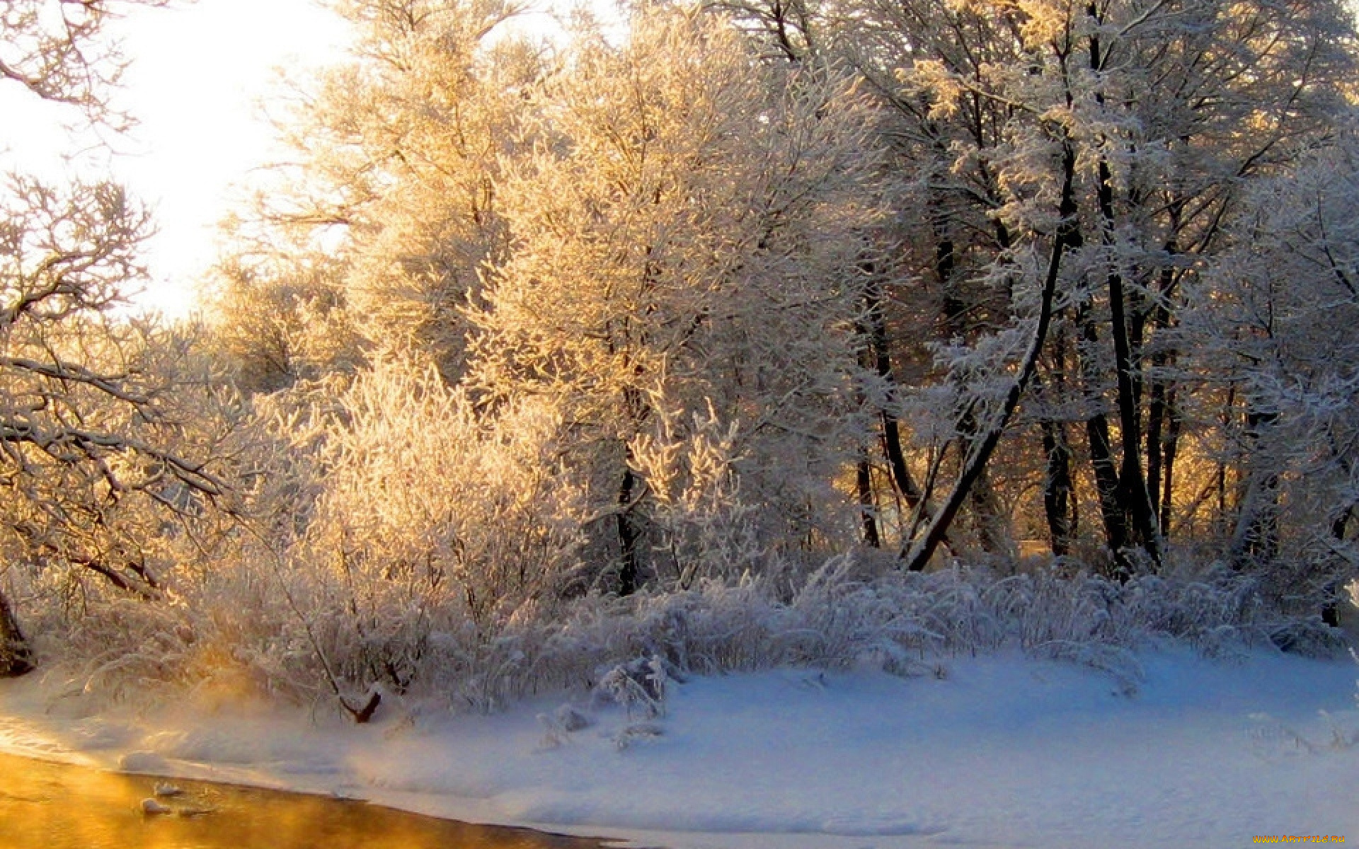 природа, зима, оранжевый, иней, седина, свет, река, лес, отражение