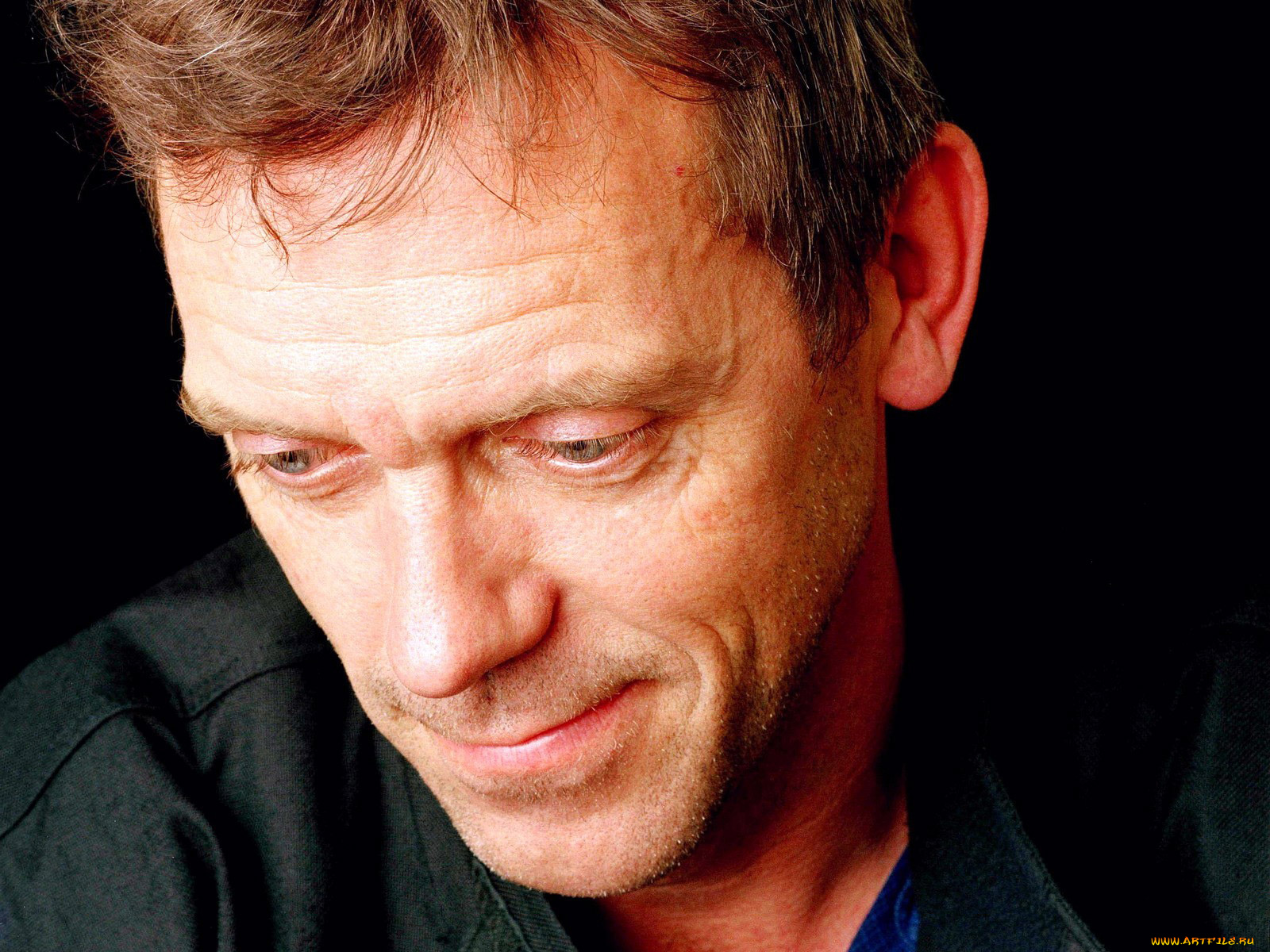 мужчины, hugh, laurie