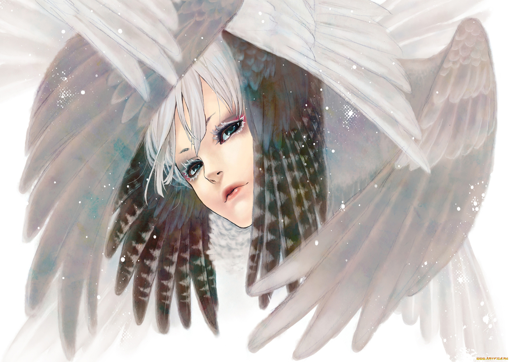 фэнтези, ангелы, крылья, перья, лицо