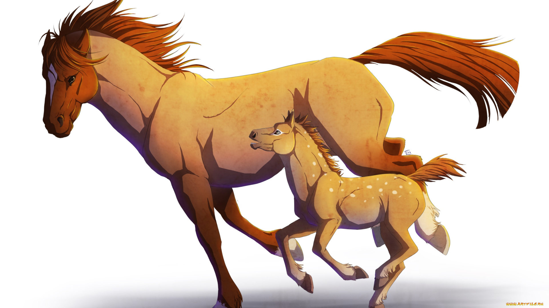 рисованные, животные, , лошади, лошадка, лошадь