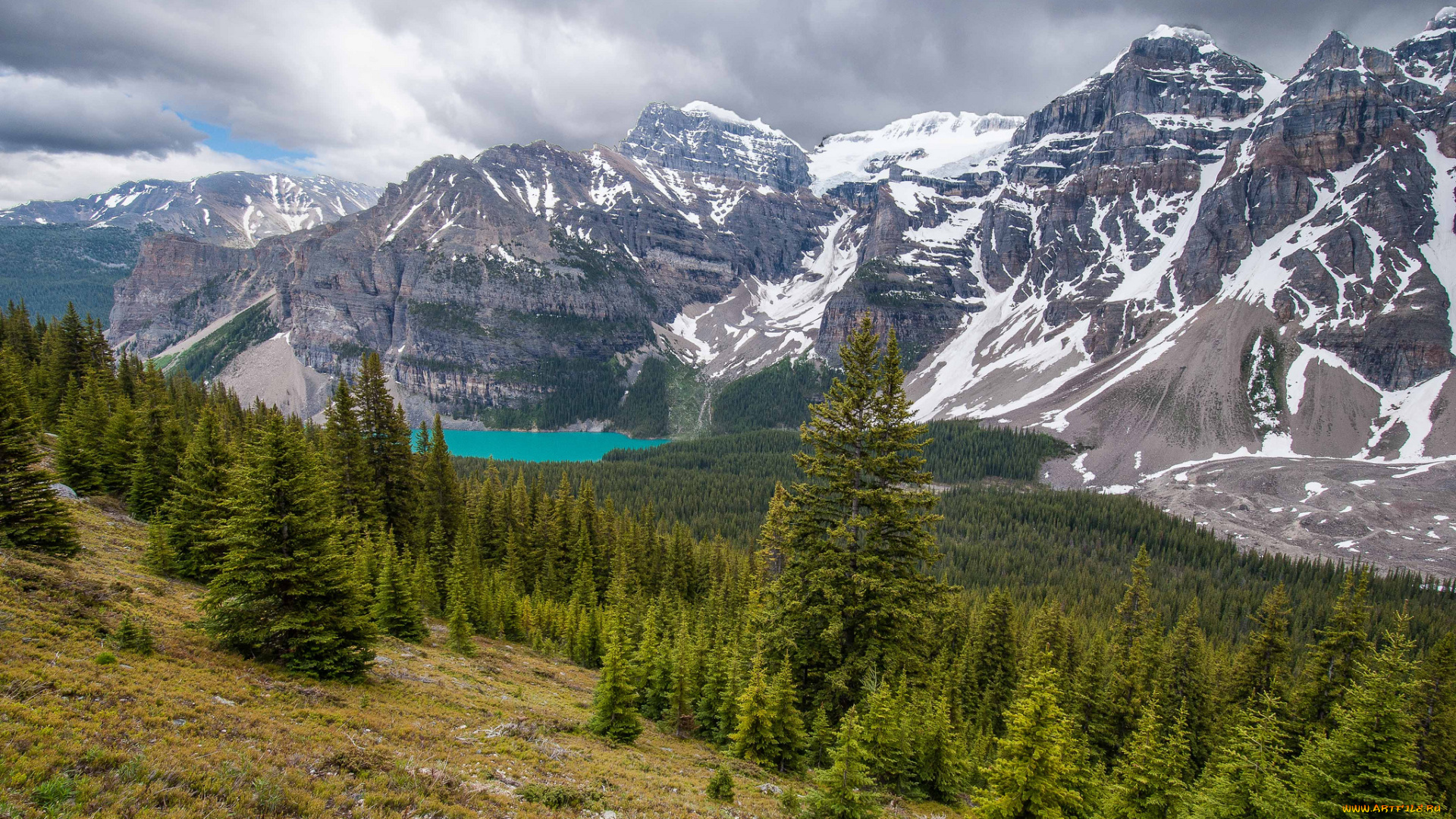 valley, of, the, ten, peaks, , banff, national, park, , canada, природа, горы, канада, банф, альберта, moraine, lake, canada, alberta, озеро, морейн, лес, valley, of, the, ten, peaks, долина, десяти, пиков, banff, national, park