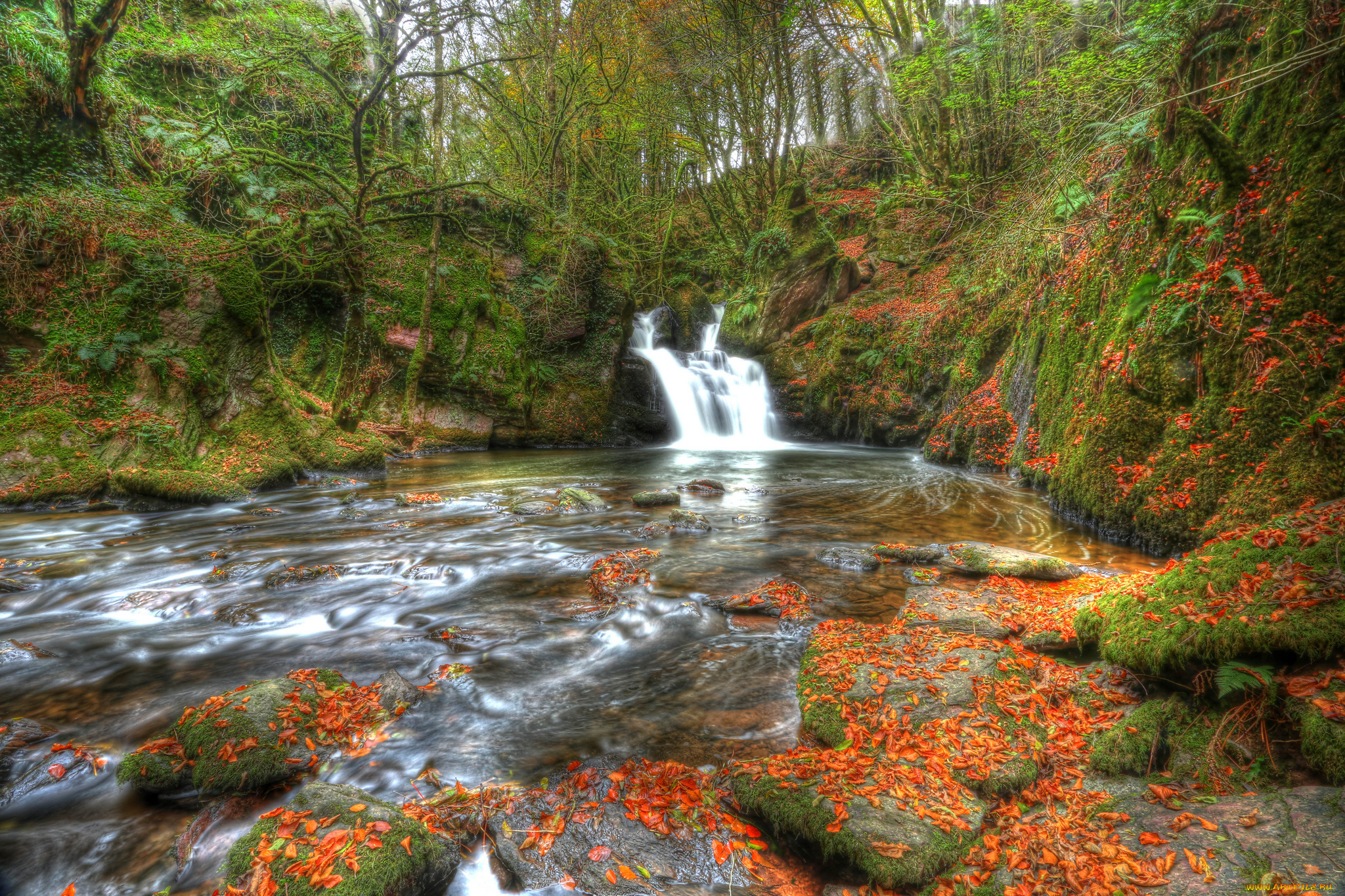 mullinhassig, waterfall, , ireland, природа, водопады, осень, лес, река, водопад, ирландия, ireland, mullinhassig, waterfall, листья, камни