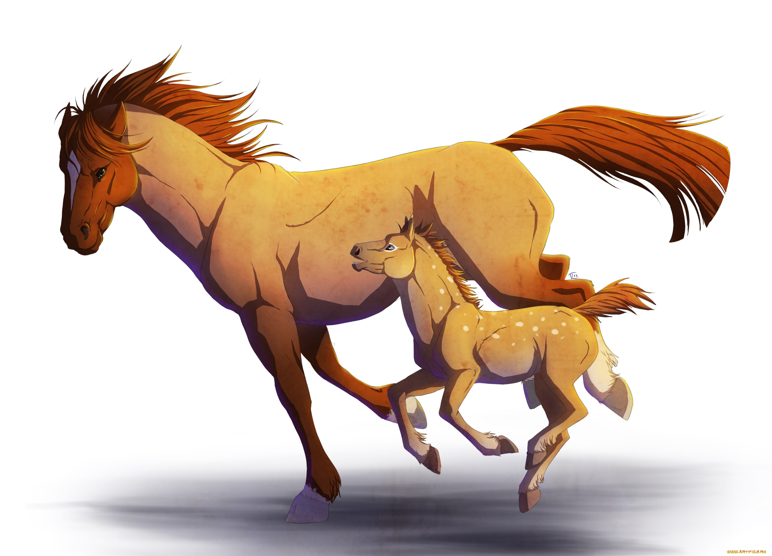 рисованные, животные, , лошади, лошадка, лошадь