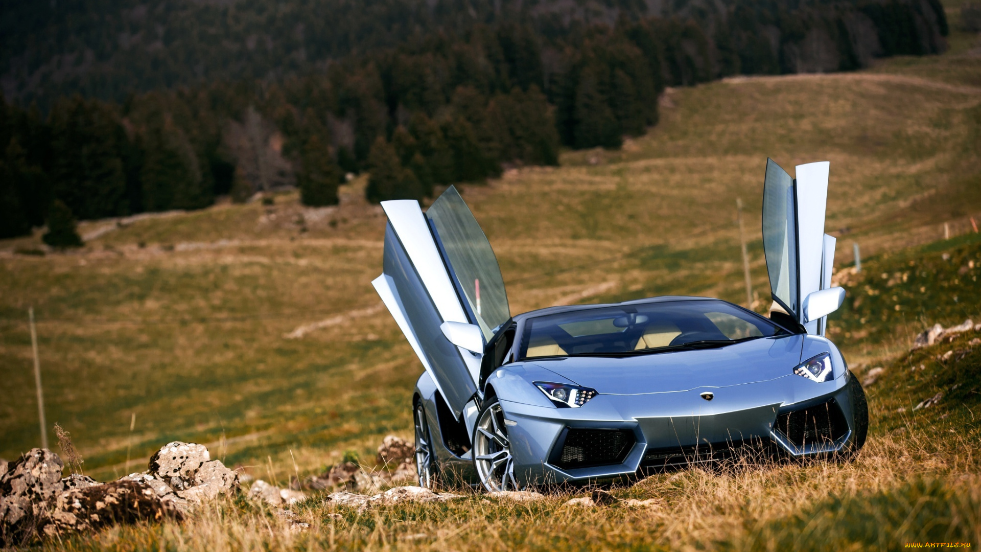 автомобили, lamborghini, roadster, lp700-4, front, ligth, nature, aventador, door, silver, supercars