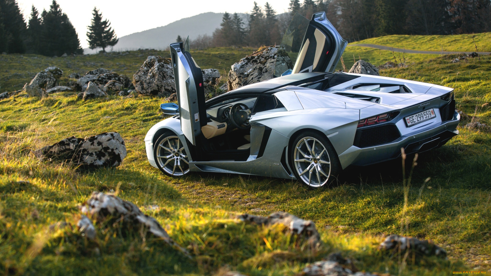 автомобили, lamborghini, supercars, roadster, lp700-4, aventador, rear, nature, door, silver