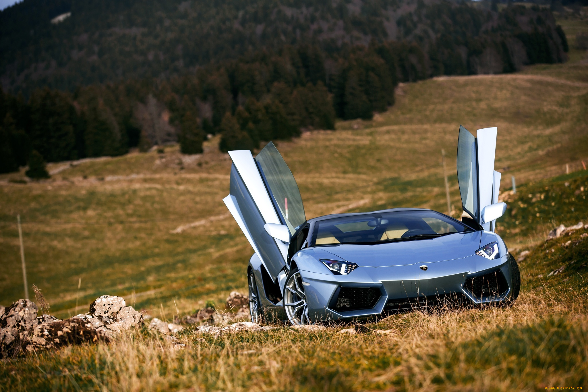 автомобили, lamborghini, roadster, lp700-4, front, ligth, nature, aventador, door, silver, supercars