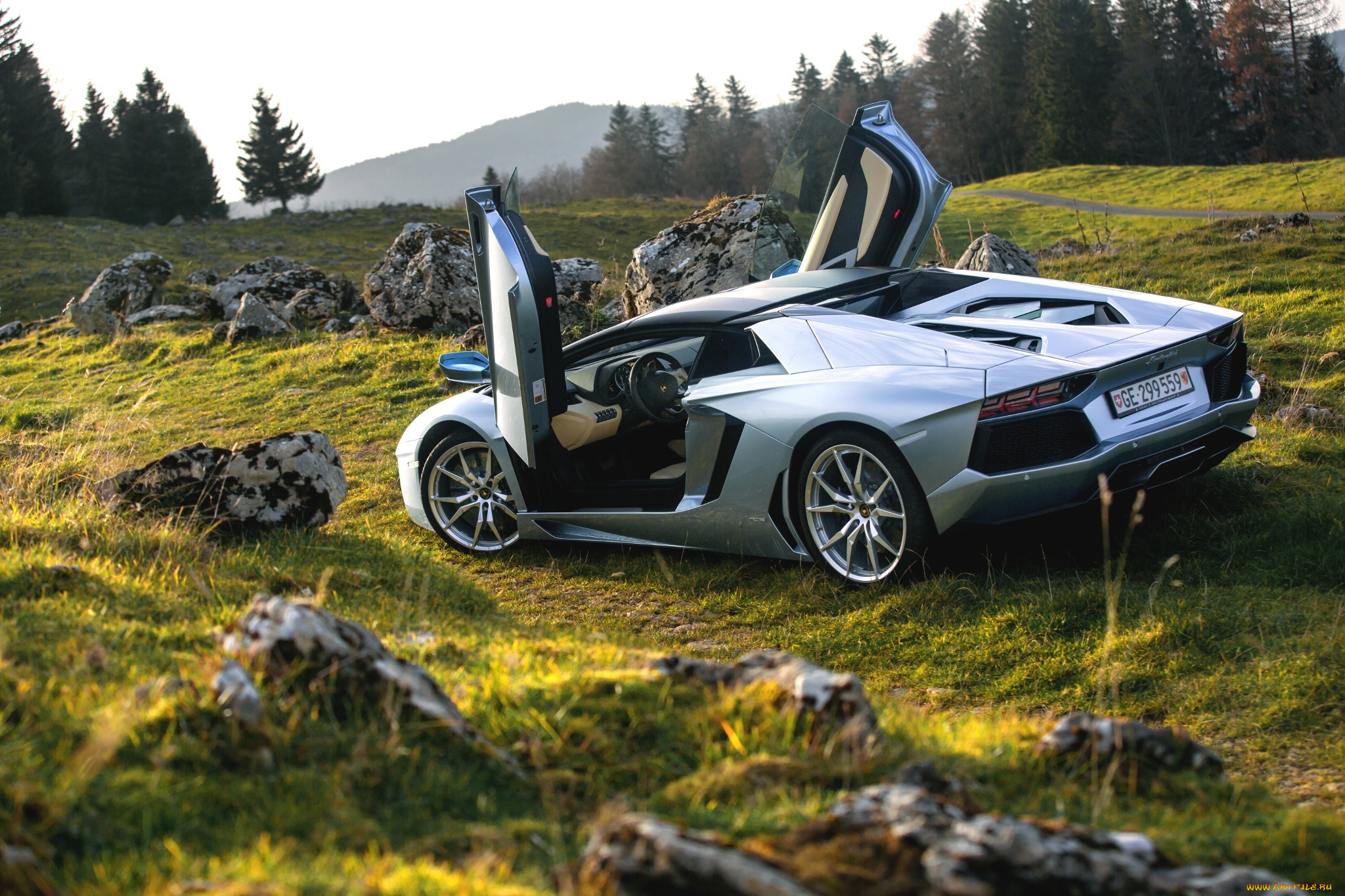 автомобили, lamborghini, supercars, roadster, lp700-4, aventador, rear, nature, door, silver