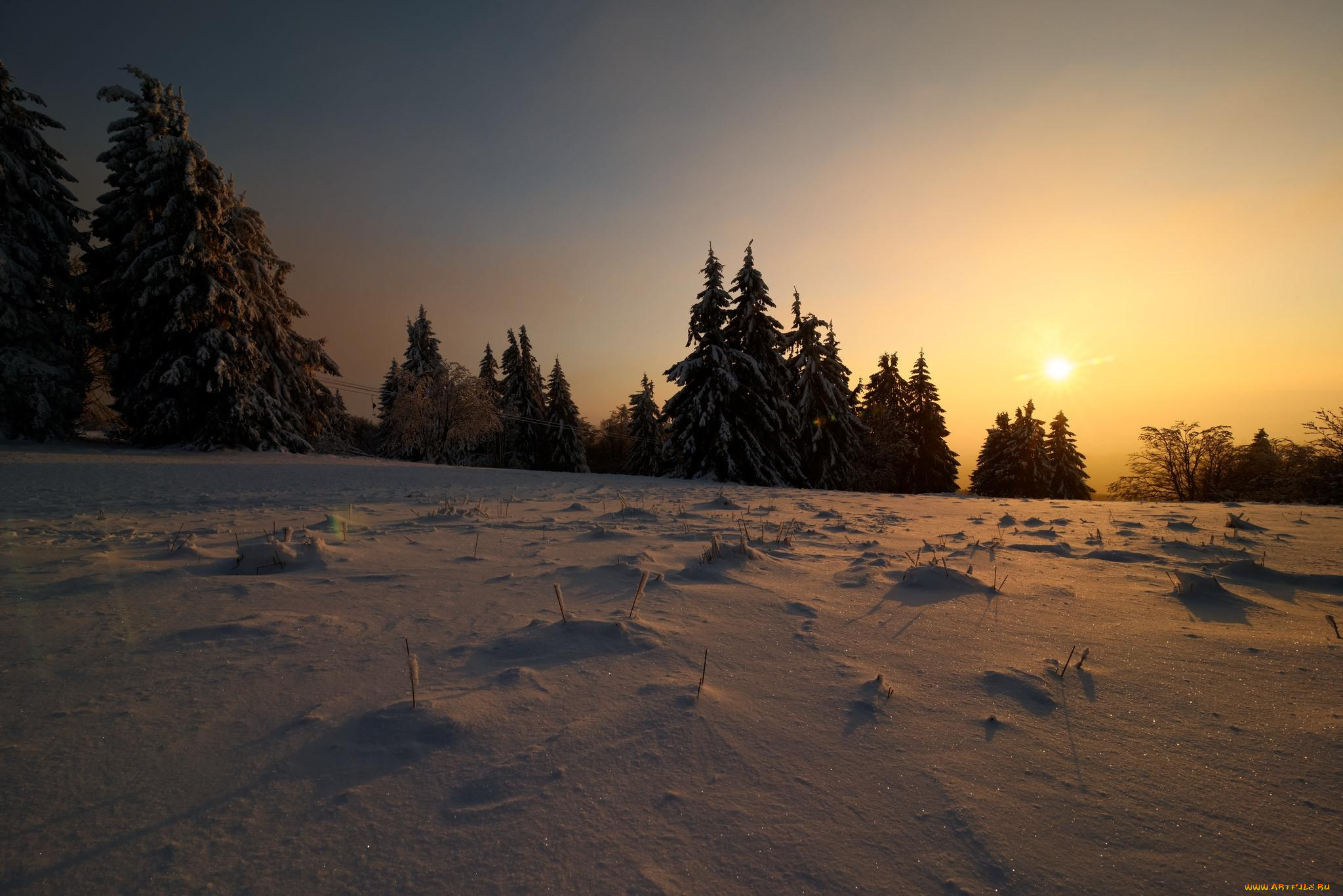 природа, восходы, закаты, снег, деревья