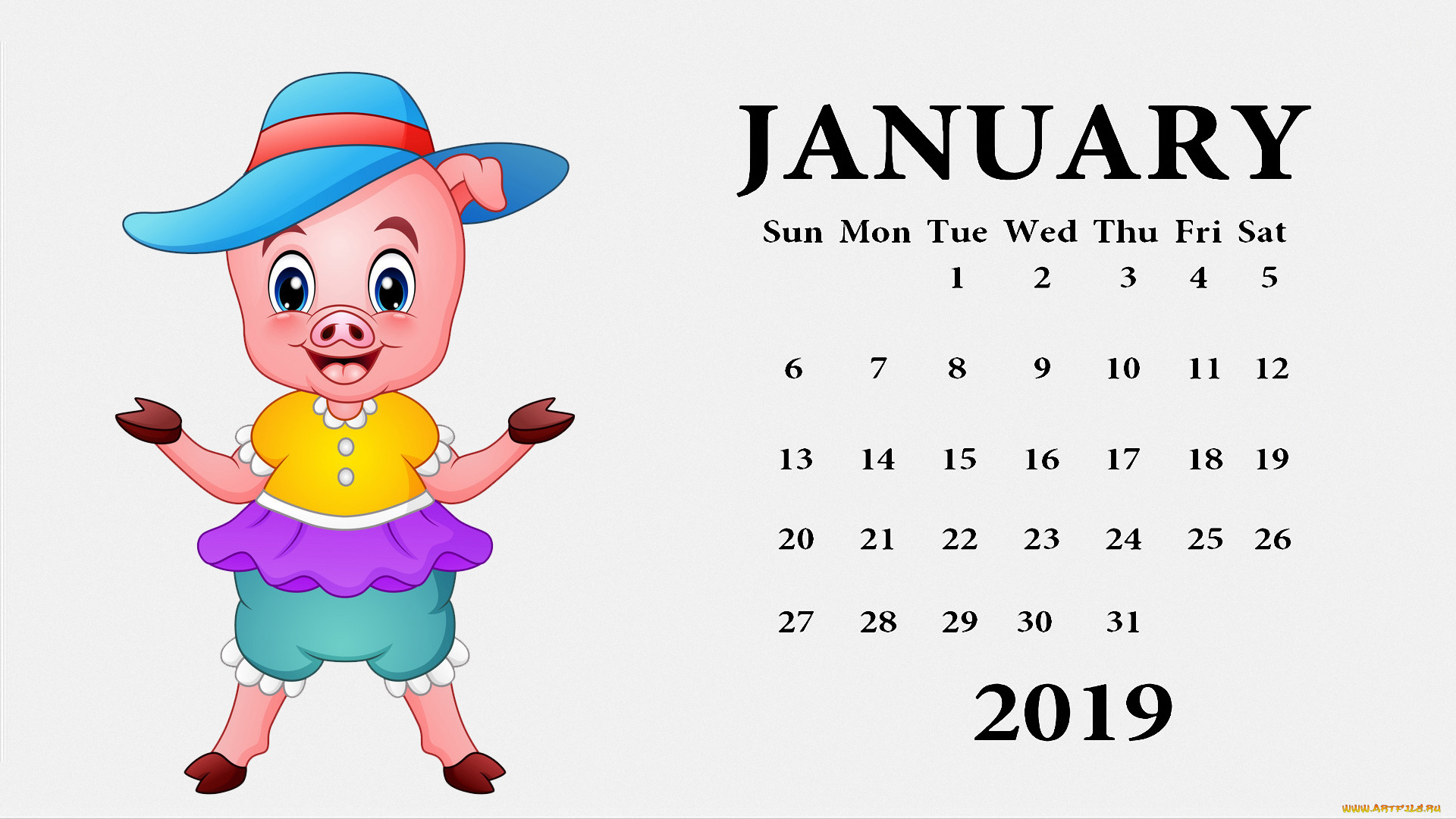 календари, рисованные, , векторная, графика, одежда, поросенок, свинья, шляпа