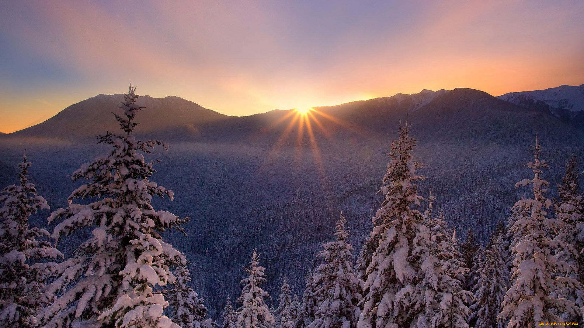 природа, восходы, закаты, снег, мороз, деревья, закат, лес, красиво, зима