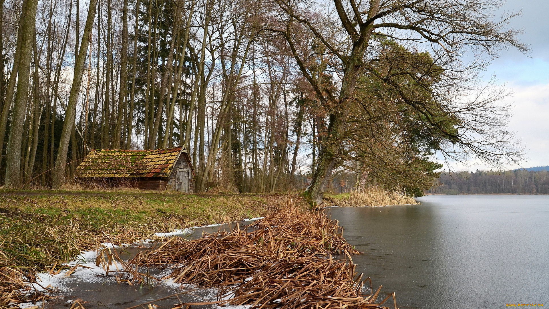 природа, реки, озера, озеро, дом, germany, teublitz, bavaria