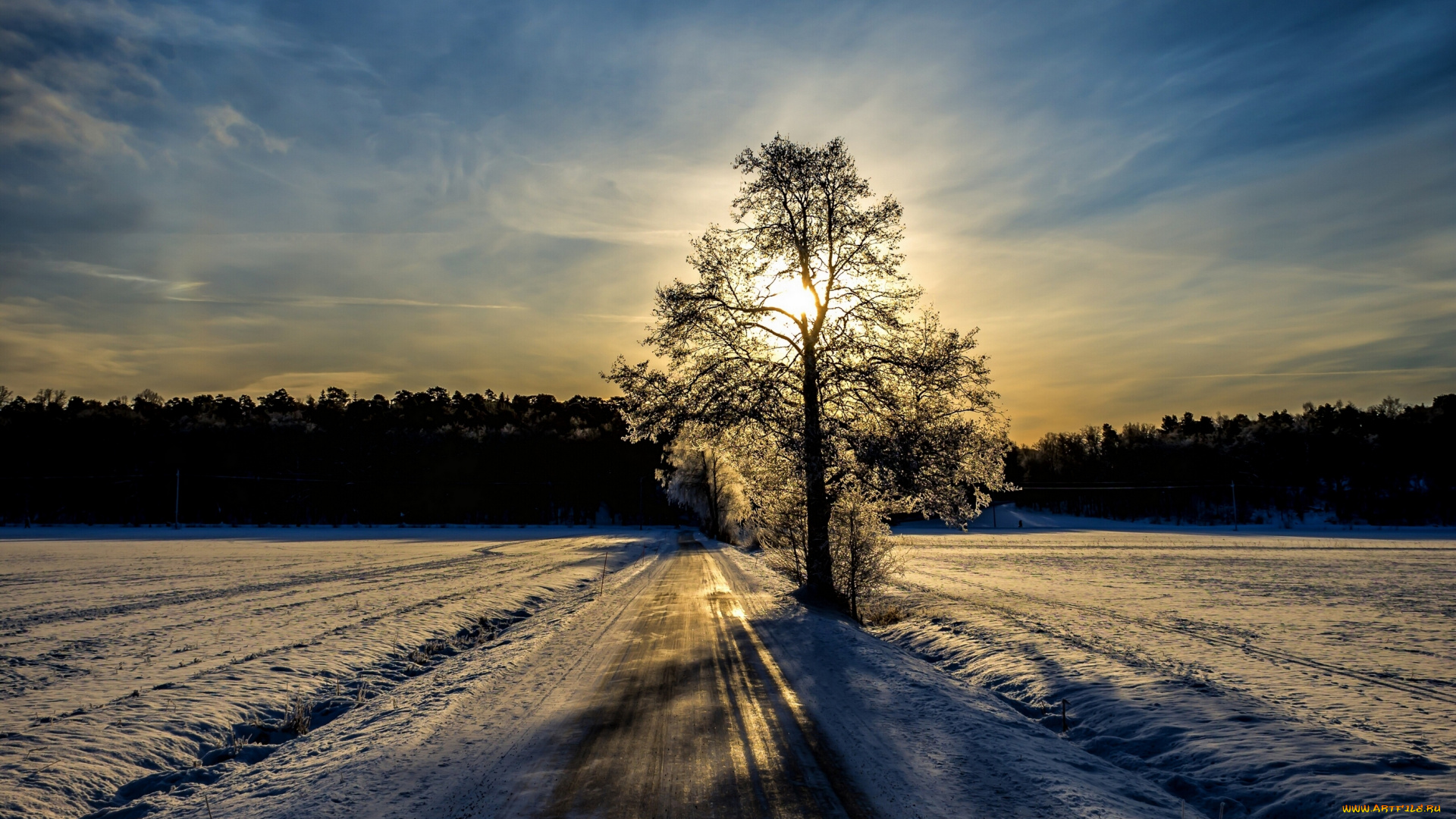 природа, зима, снег, финляндия, закат, дерево, поля