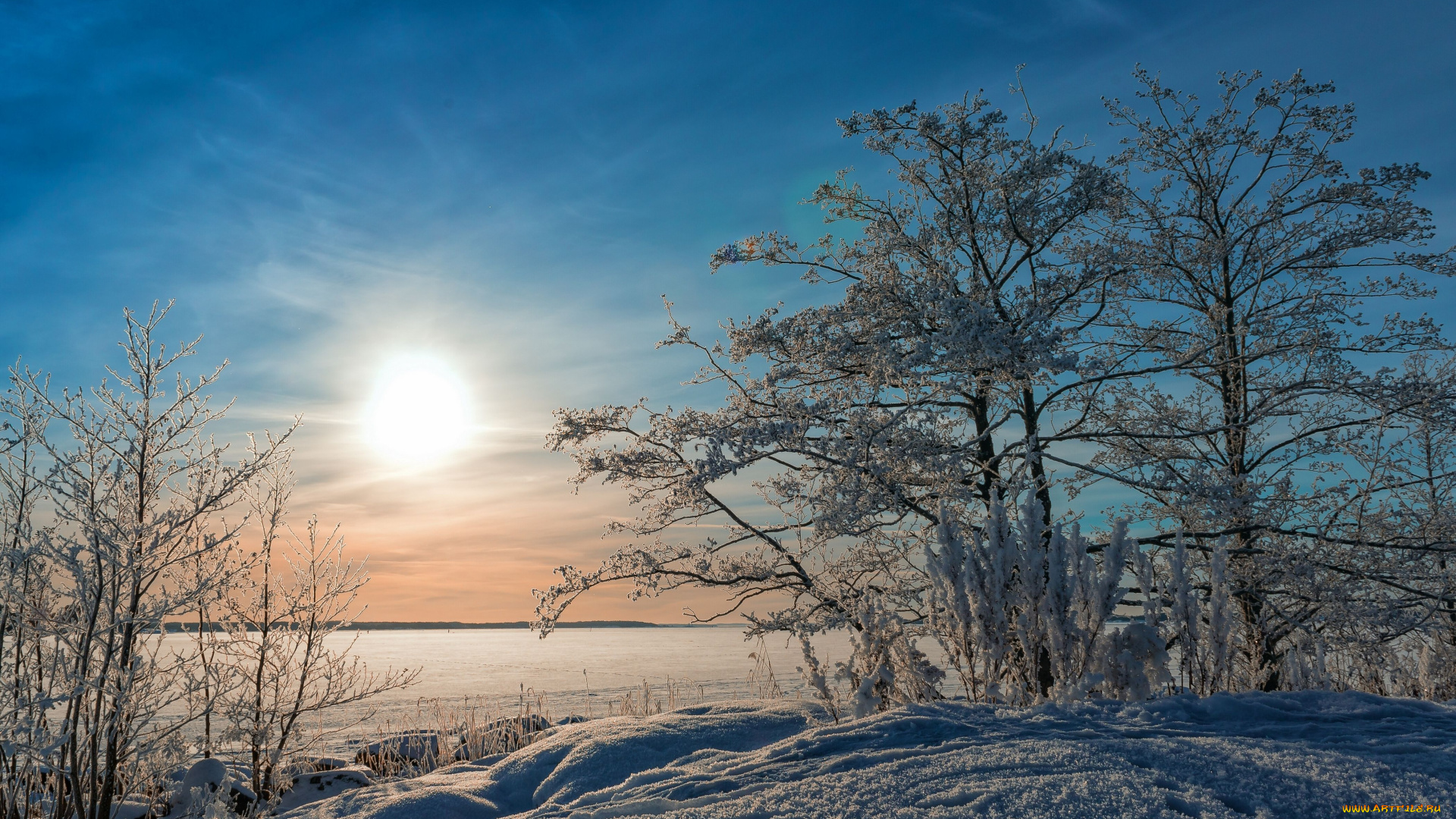 природа, зима, снег, побережье, деревья, балтийское, море, финляндия, утро, восход