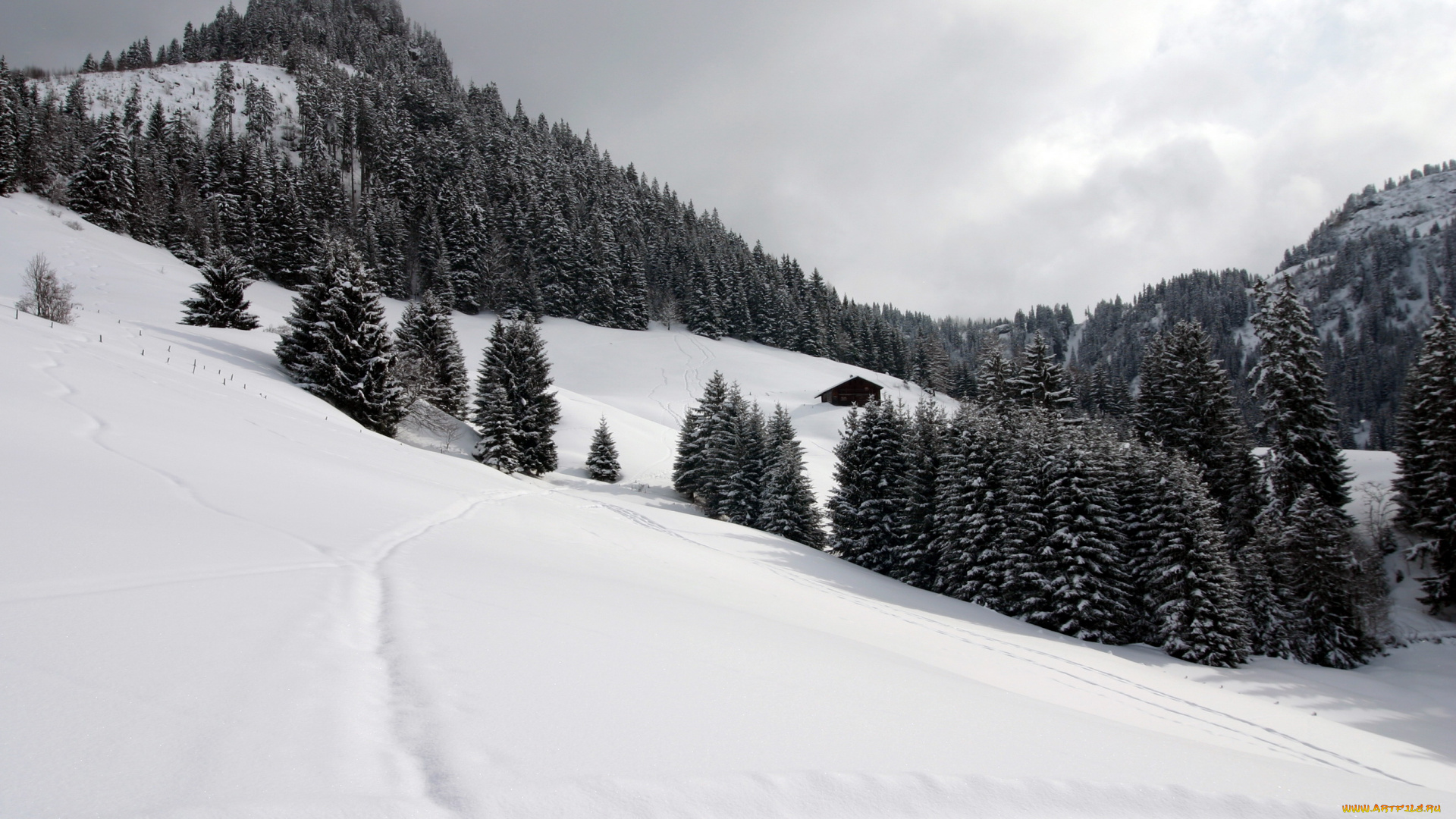 швейцария, природа, зима, горы, снег