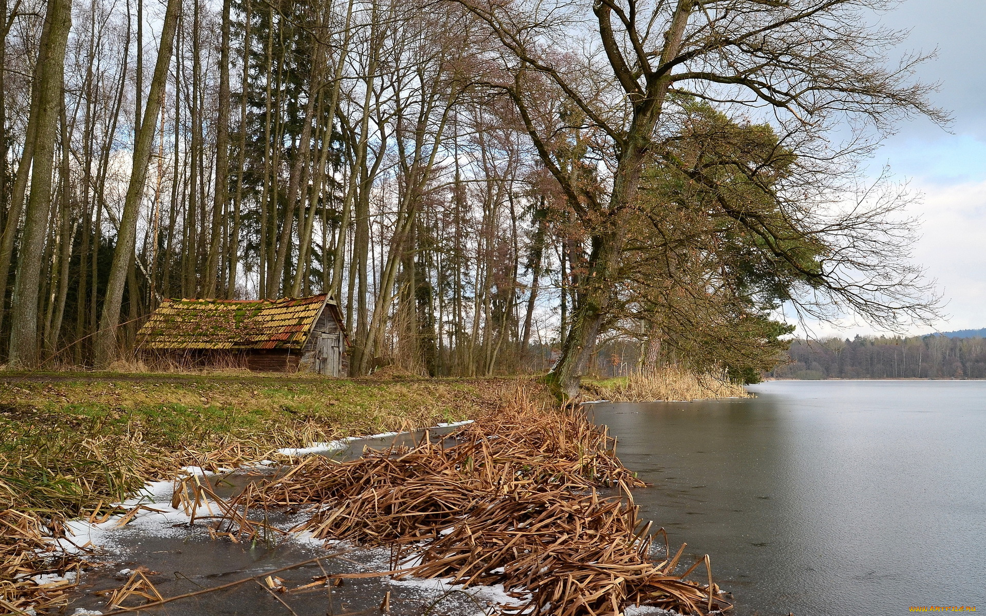 природа, реки, озера, озеро, дом, germany, teublitz, bavaria