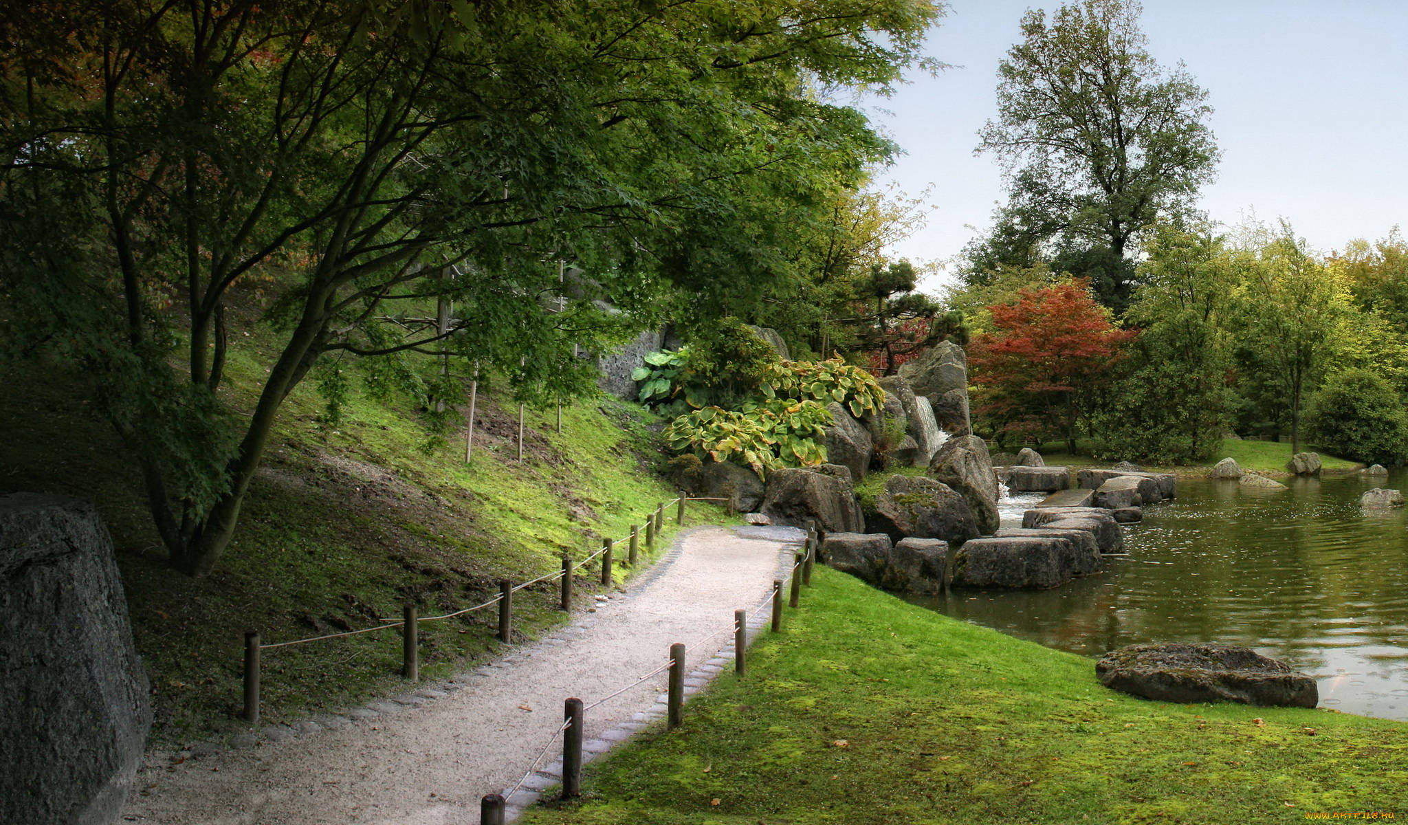 japanese, garden, hasselt, бельгия, природа, парк, сад, пруд