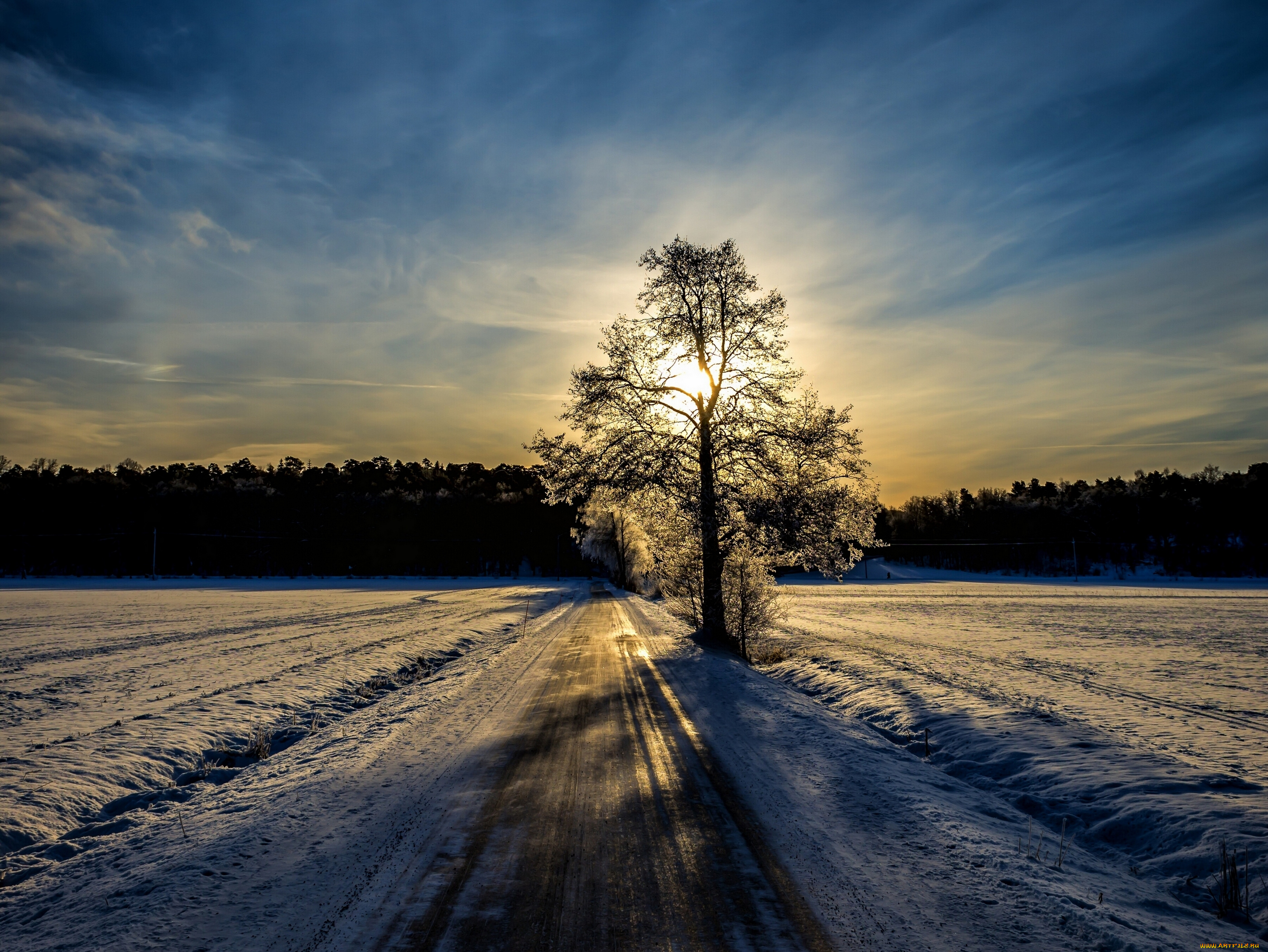 природа, зима, снег, финляндия, закат, дерево, поля