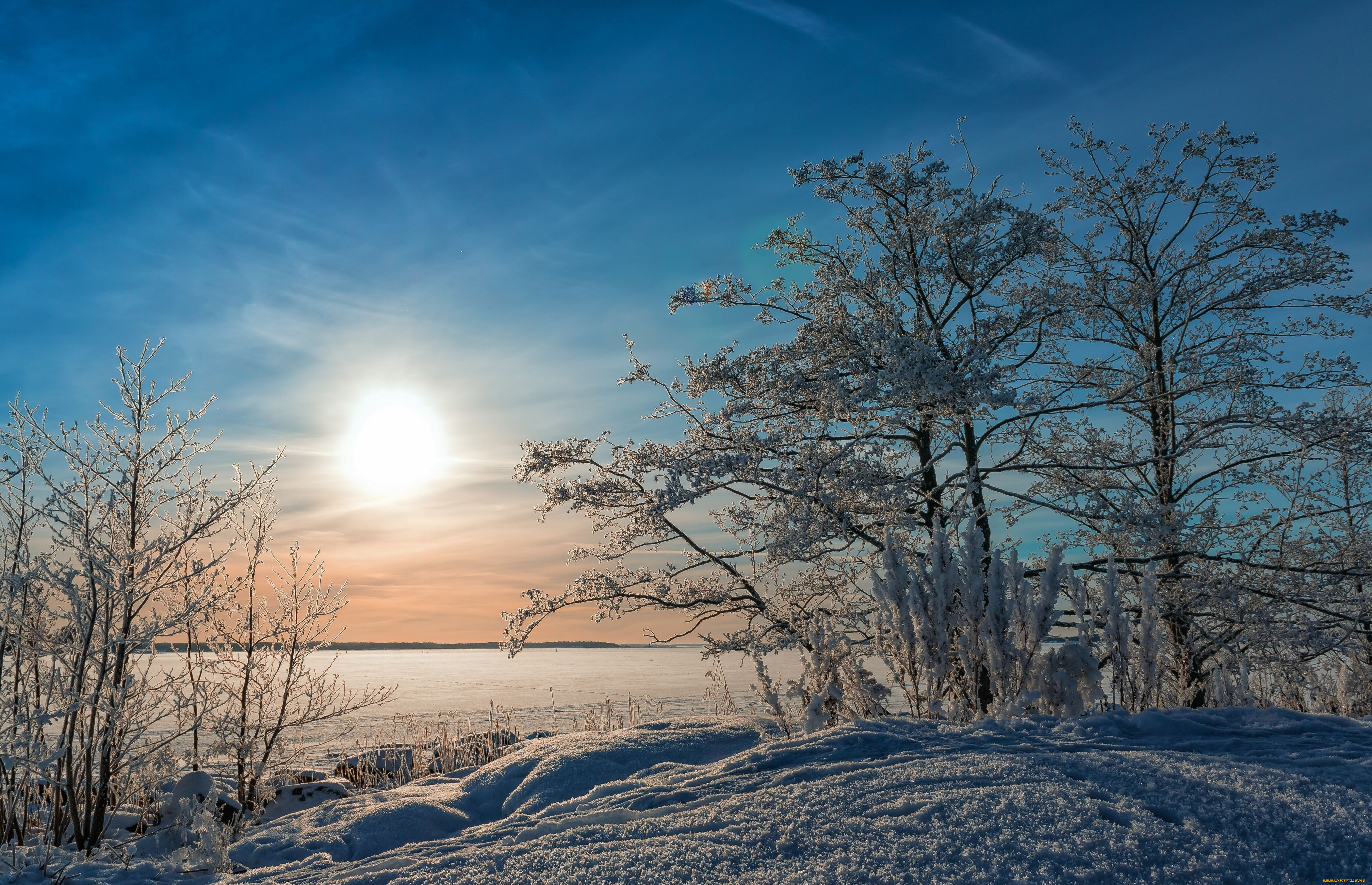 природа, зима, снег, побережье, деревья, балтийское, море, финляндия, утро, восход
