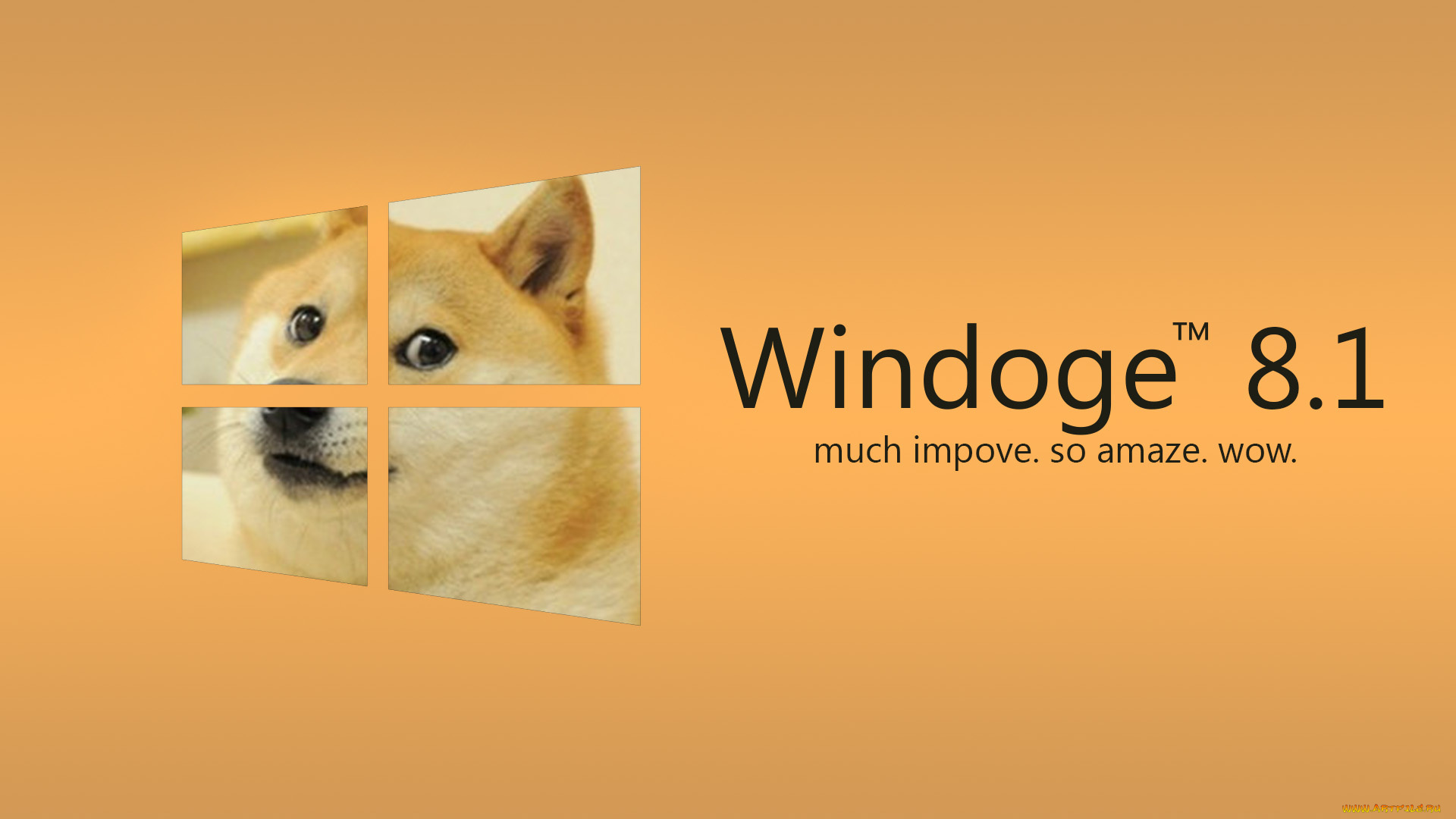 компьютеры, windows, 8, операционная, система, фон, логотип, собака
