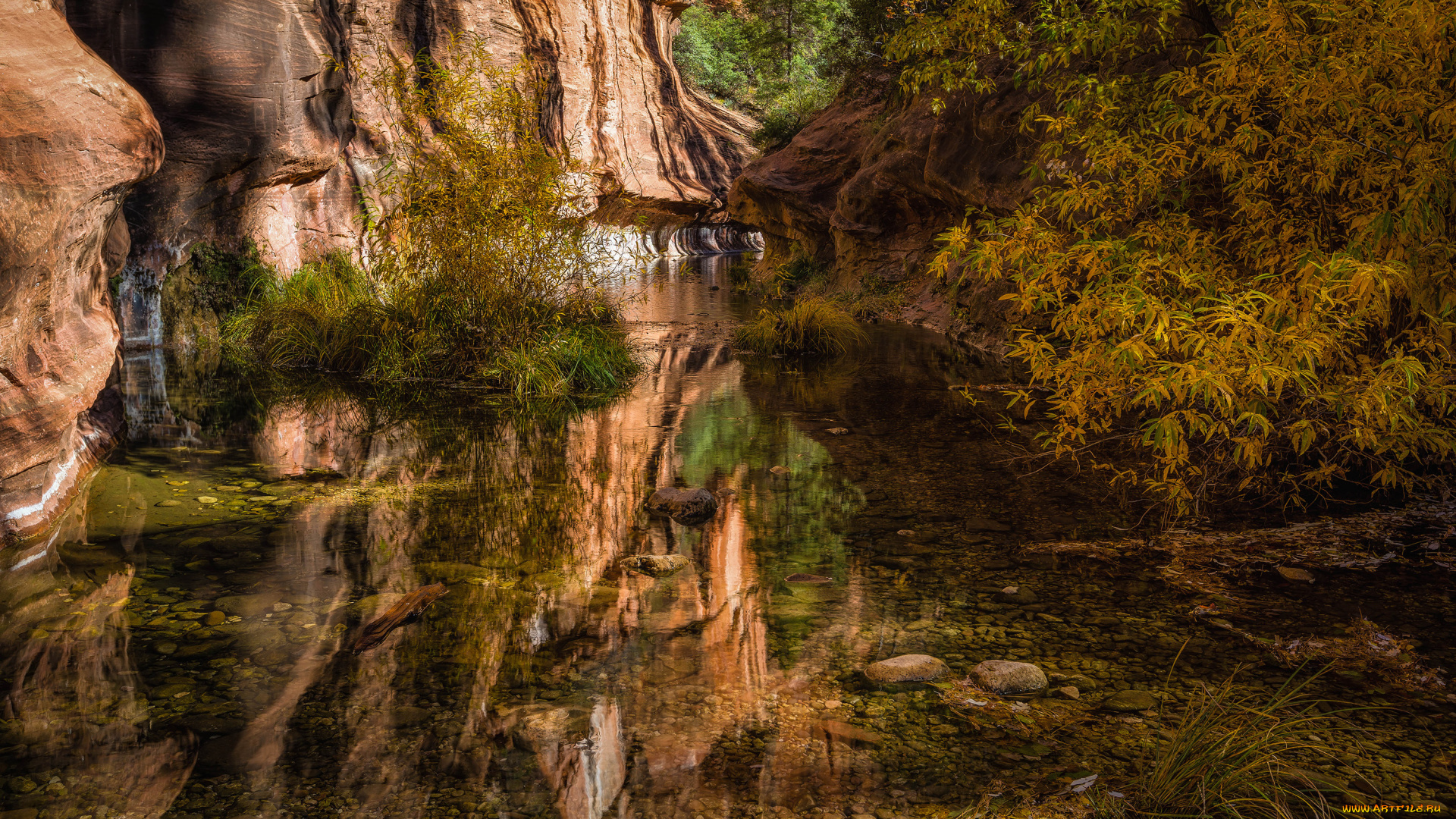 природа, реки, озера, трава, вода