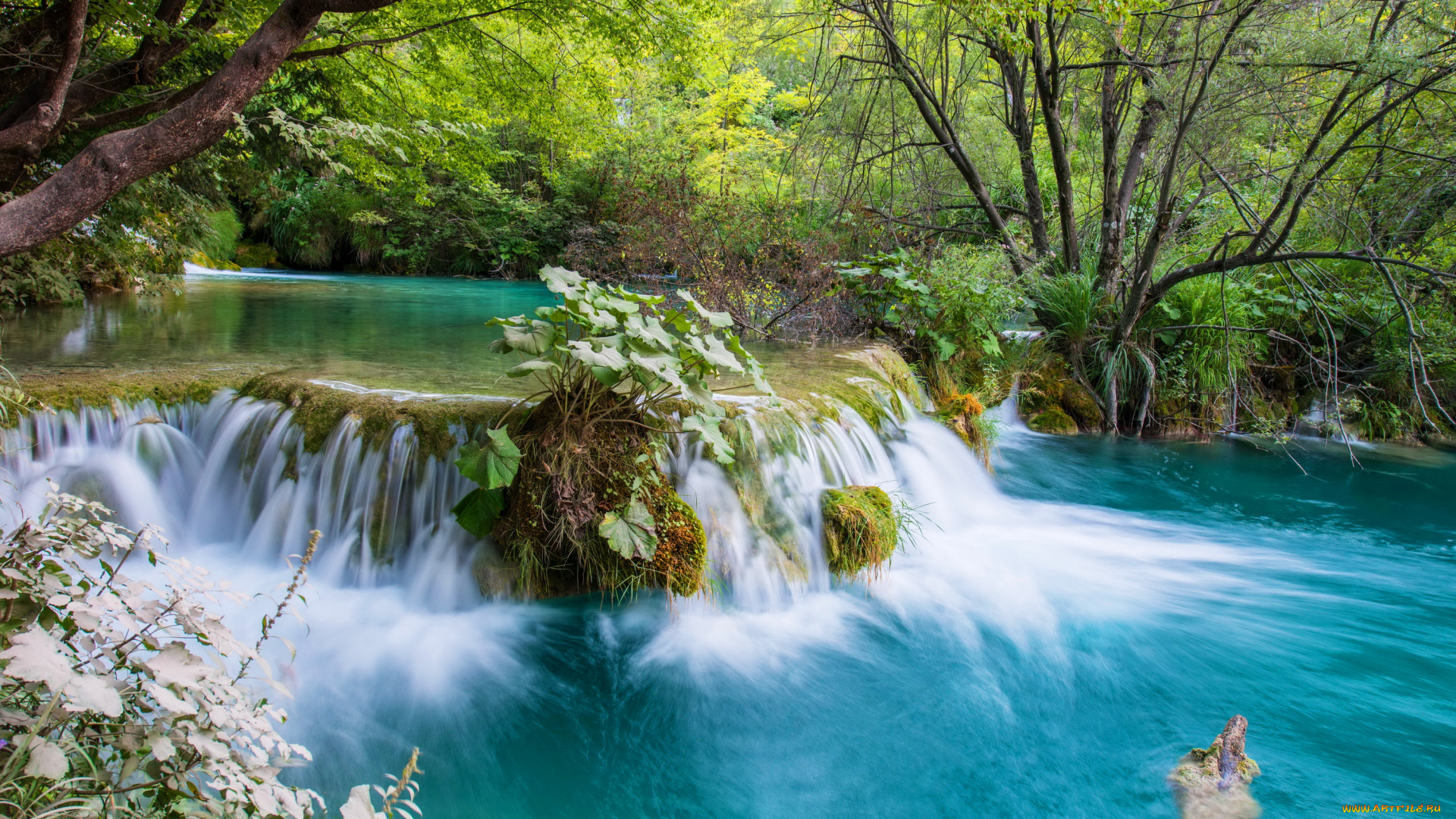 природа, водопады, пороги, лес, водопад