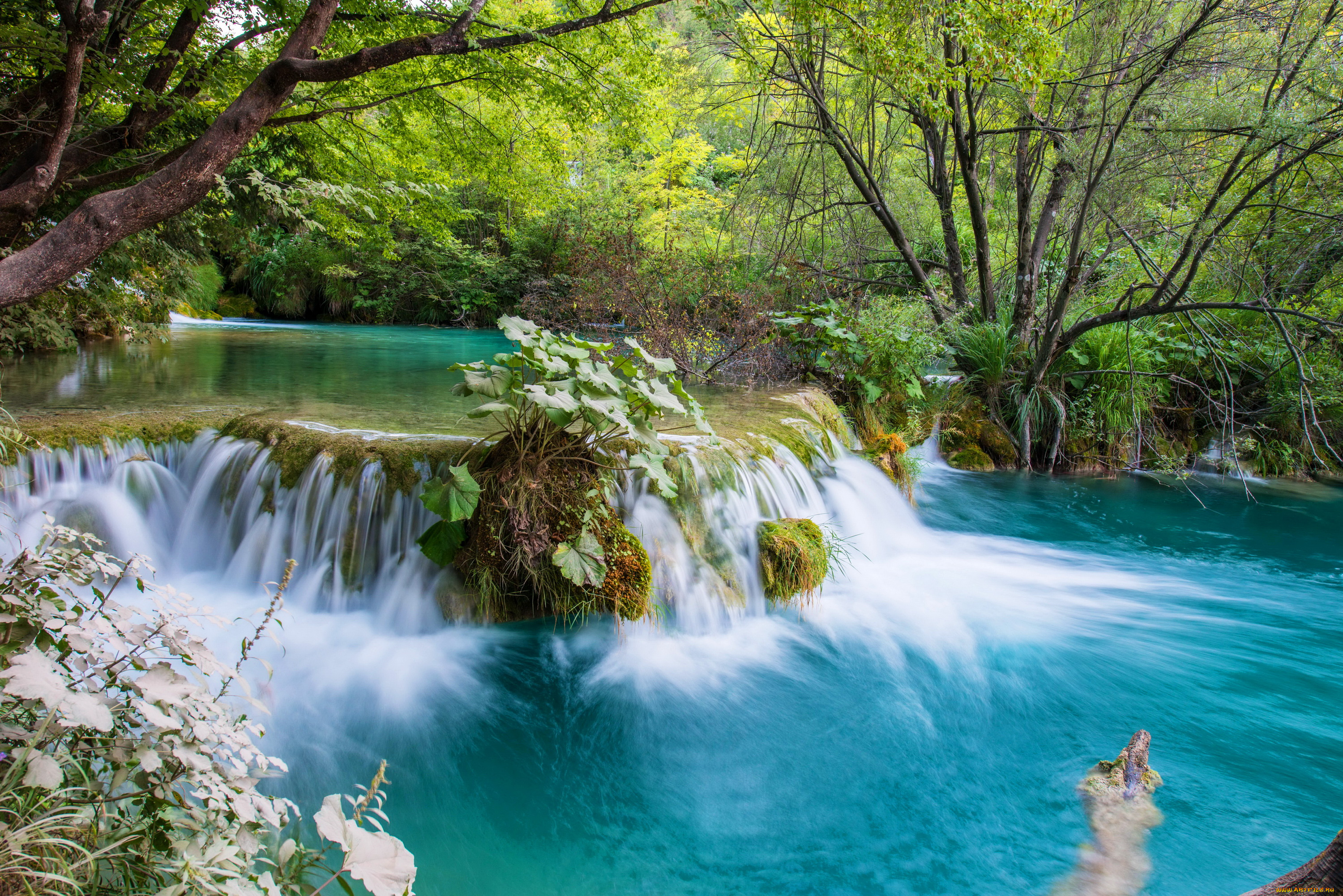 природа, водопады, пороги, лес, водопад