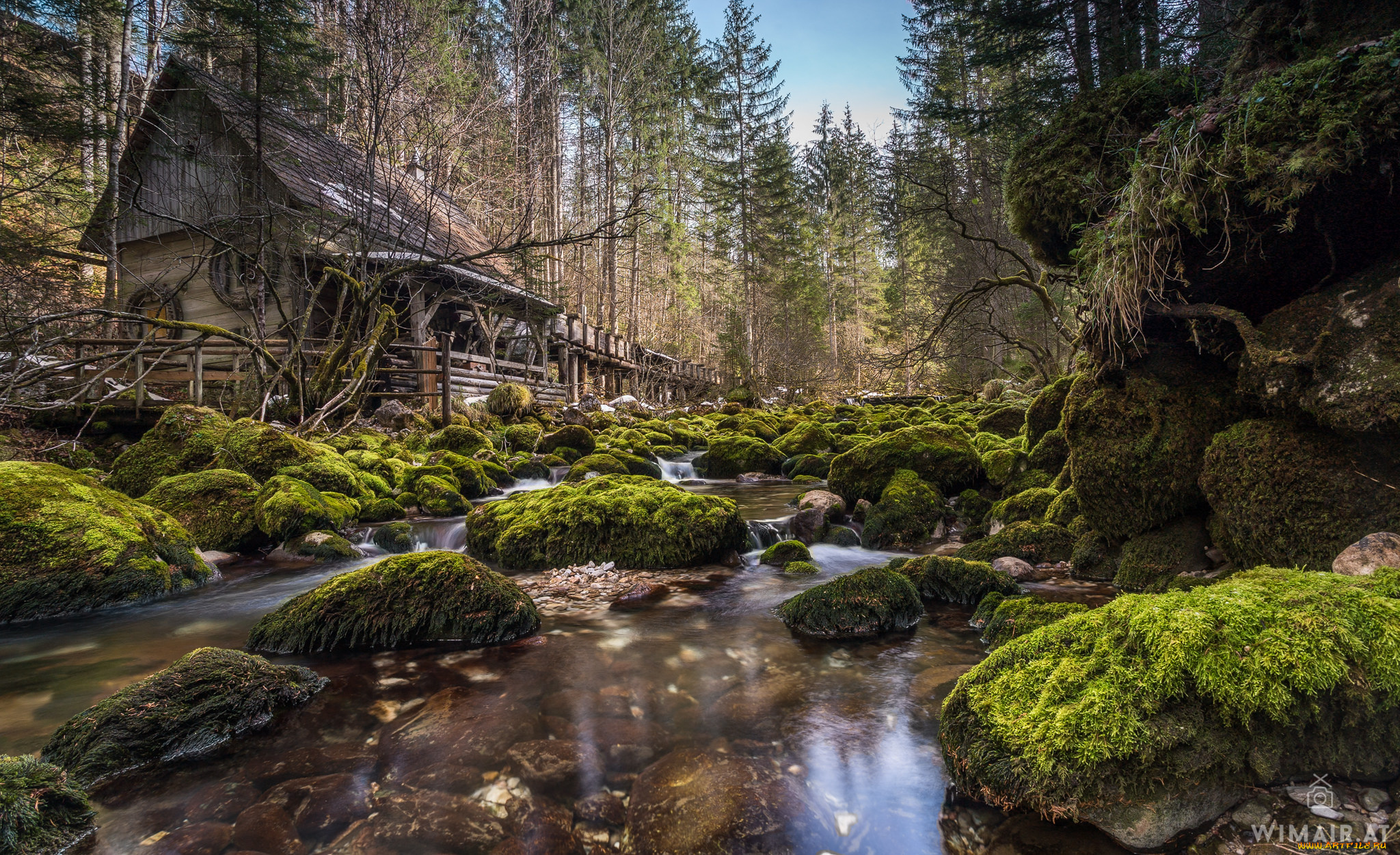 природа, реки, озера, река, лес