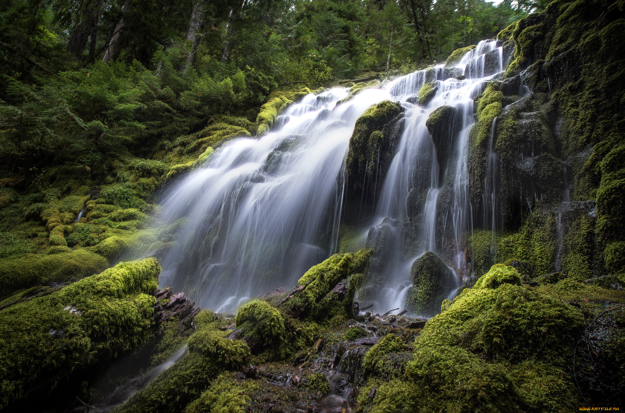 природа, водопады, водопад, река, лес