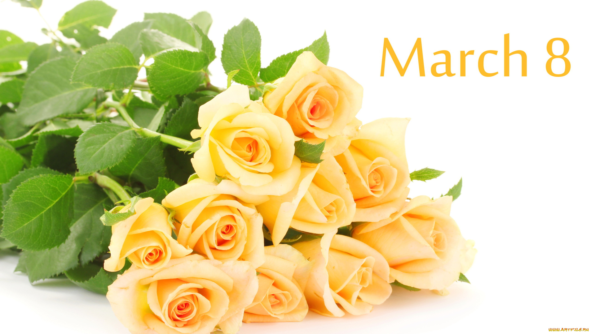 праздничные, международный, женский, день, -, 8, марта, 8, марта, розы, букет