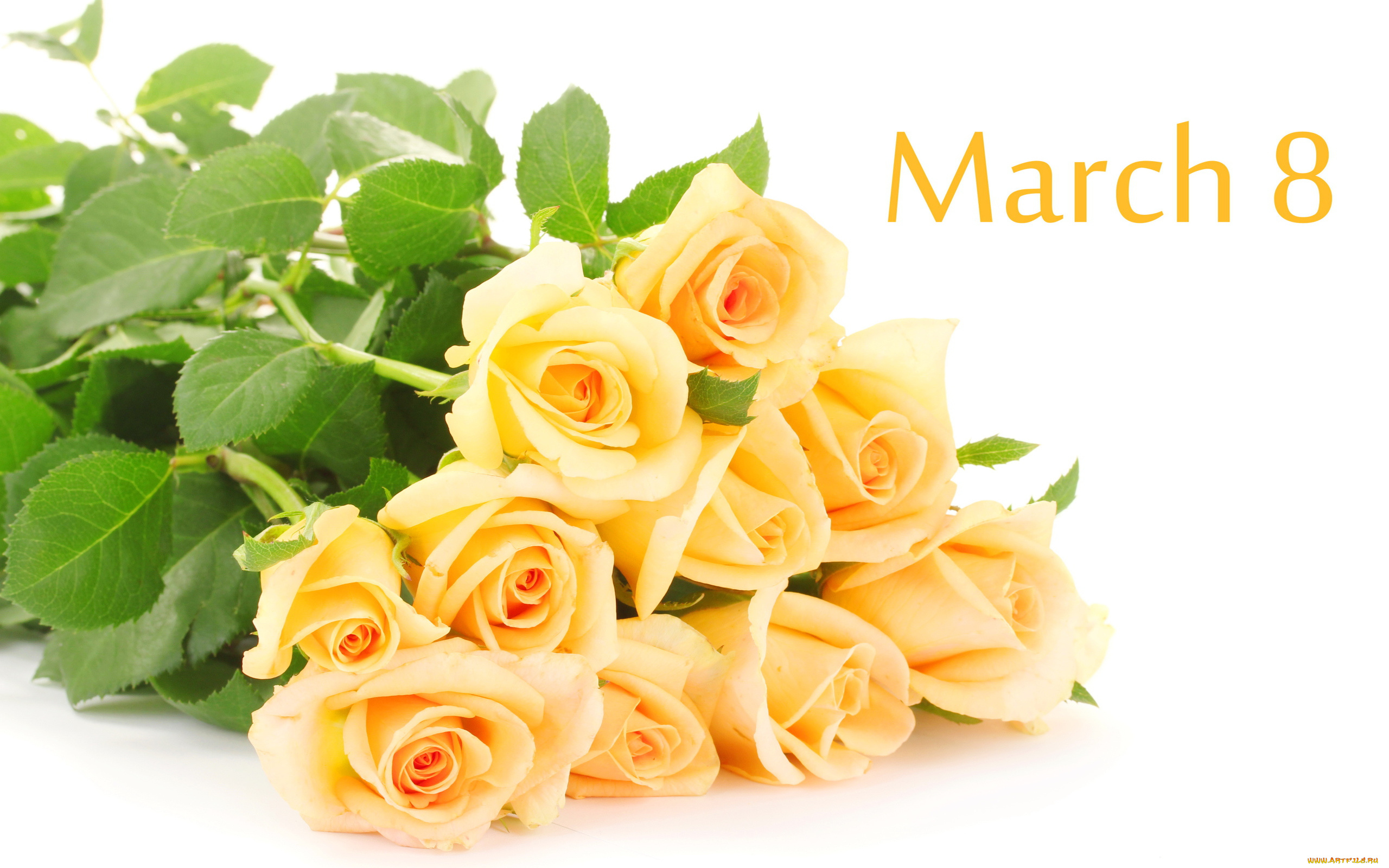 праздничные, международный, женский, день, -, 8, марта, 8, марта, розы, букет