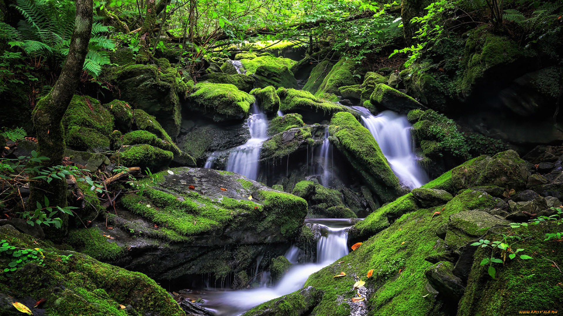 природа, водопады, водопад, камни, мох, поток, лес