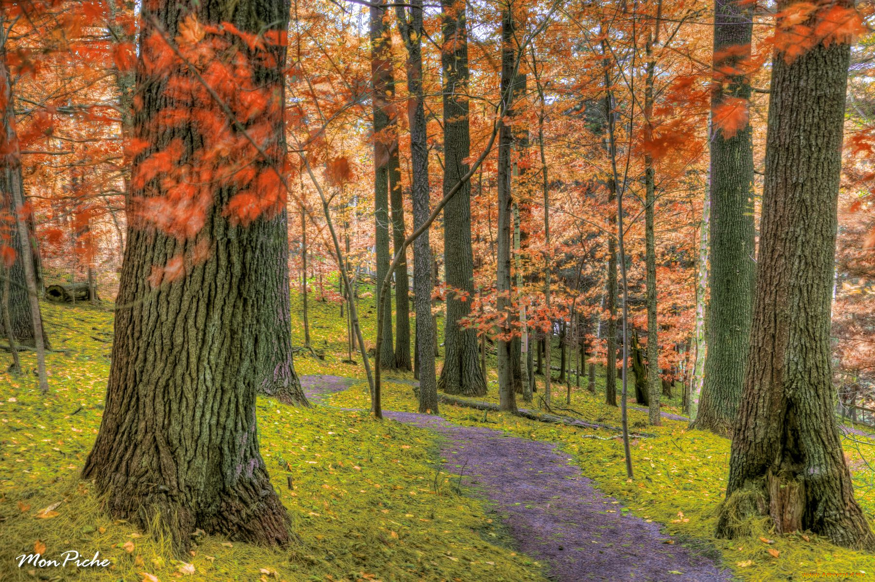 park, of, the, coaticook, gorge, in, estrie, природа, парк, квебек