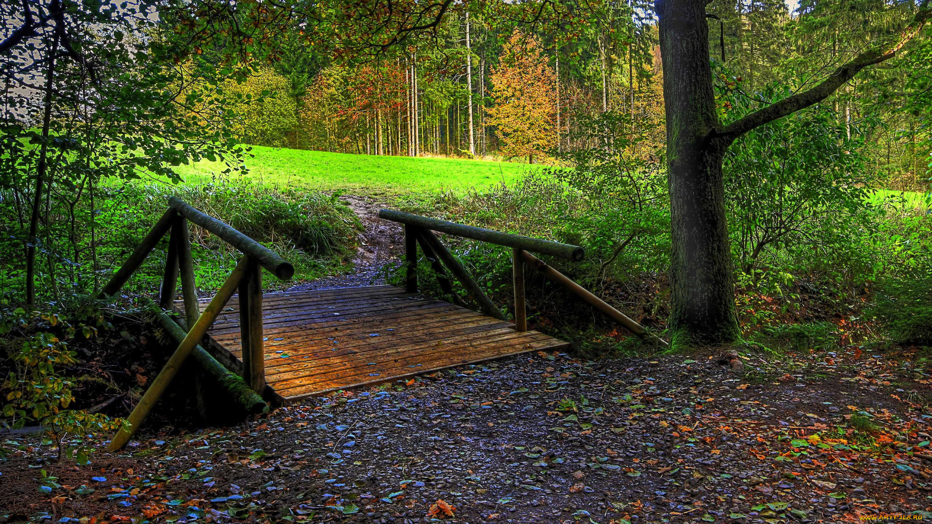 bridge, to, the, forest, природа, лес, мост