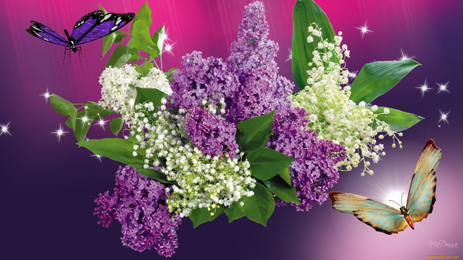 lilacs, and, butterflies, цветы, букеты, композиции
