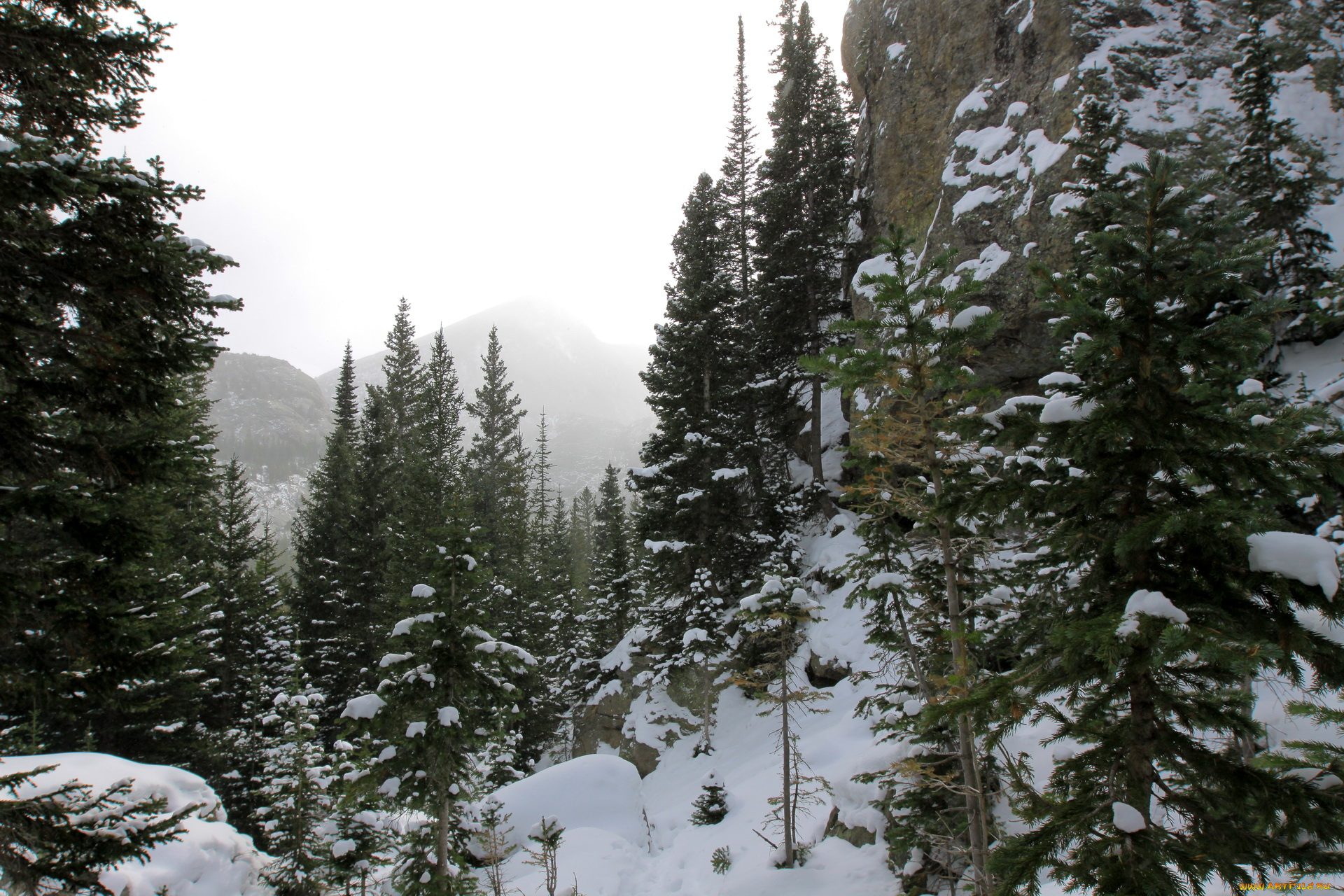 природа, зима, colorado, rocky, mountain, national, park