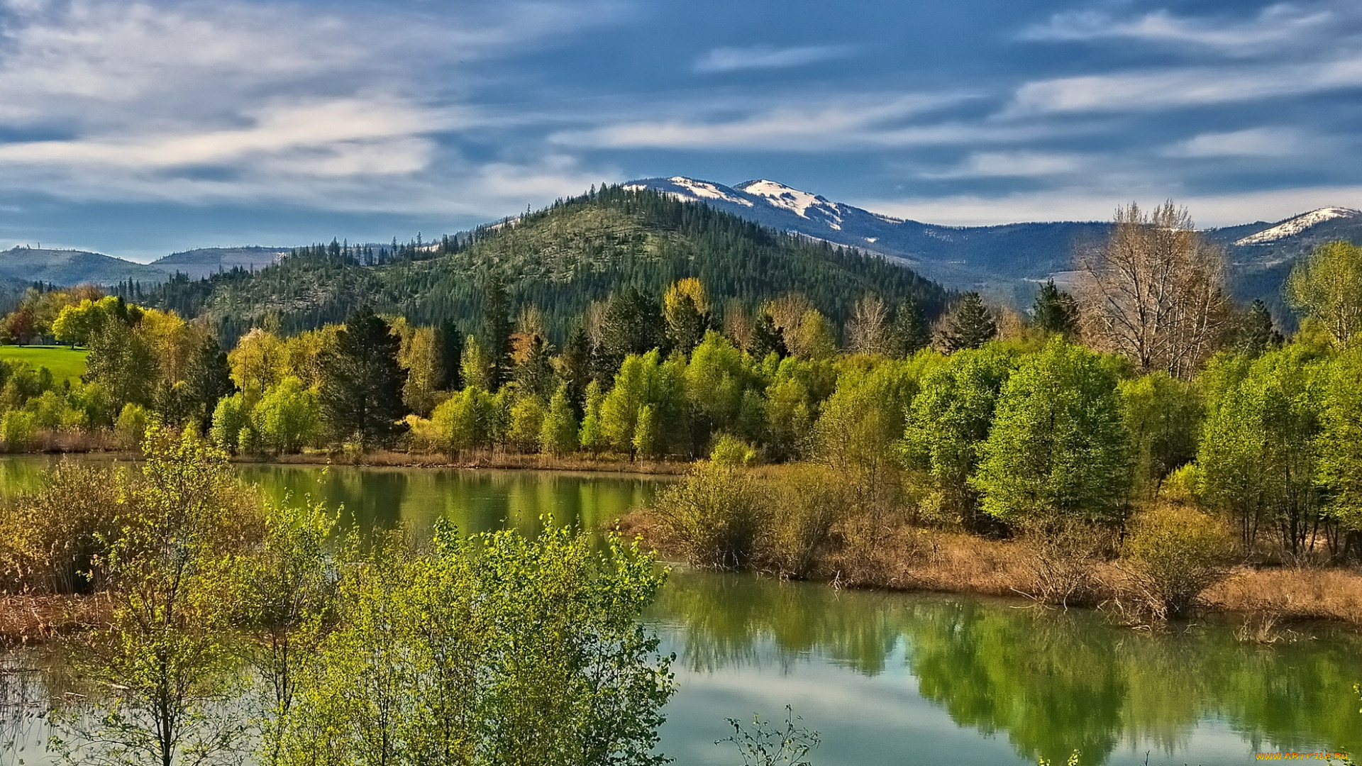 coeur, d`alene, river, природа, реки, озера, весна, река, пейзаж, деревья, горы, dalene