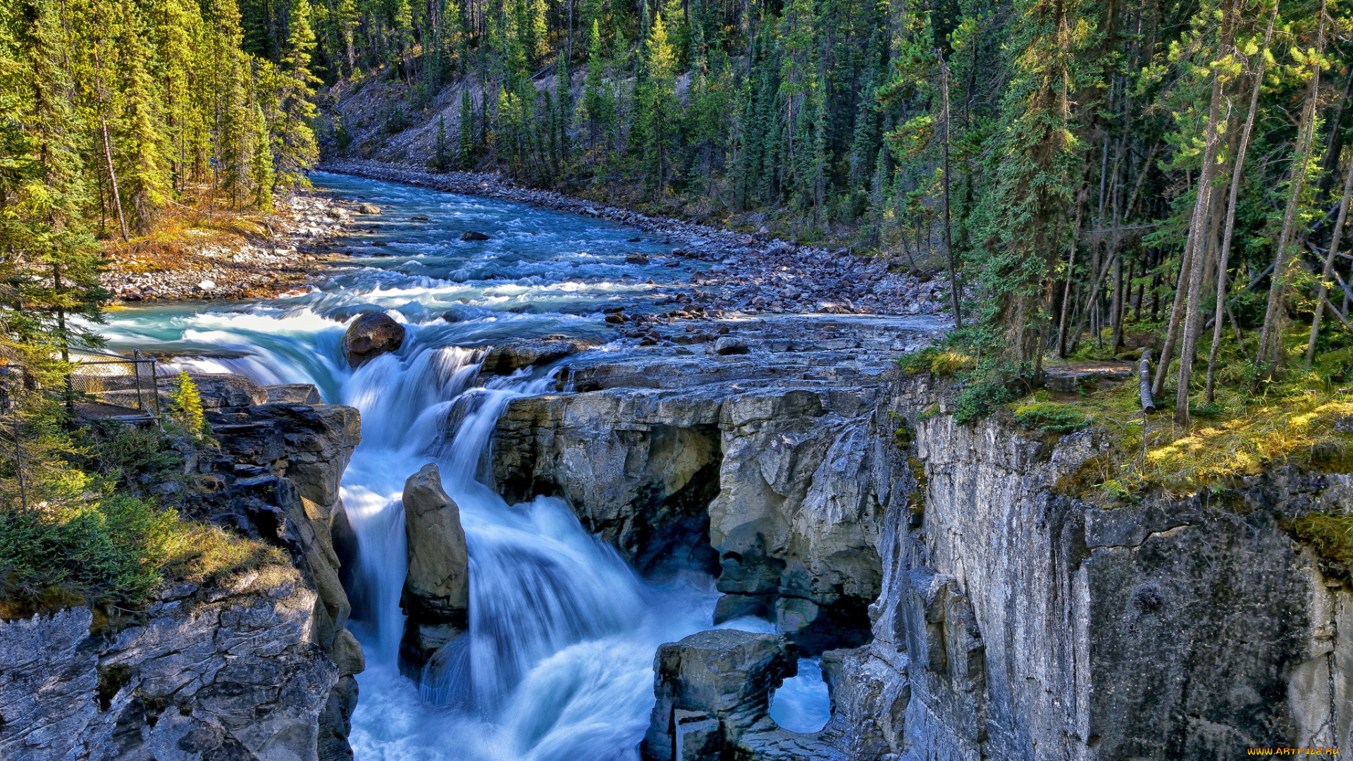 jasper, national, park, canada, природа, реки, озера, sunwapta, falls, river, канада, водопад, река, скалы, лес, деревья