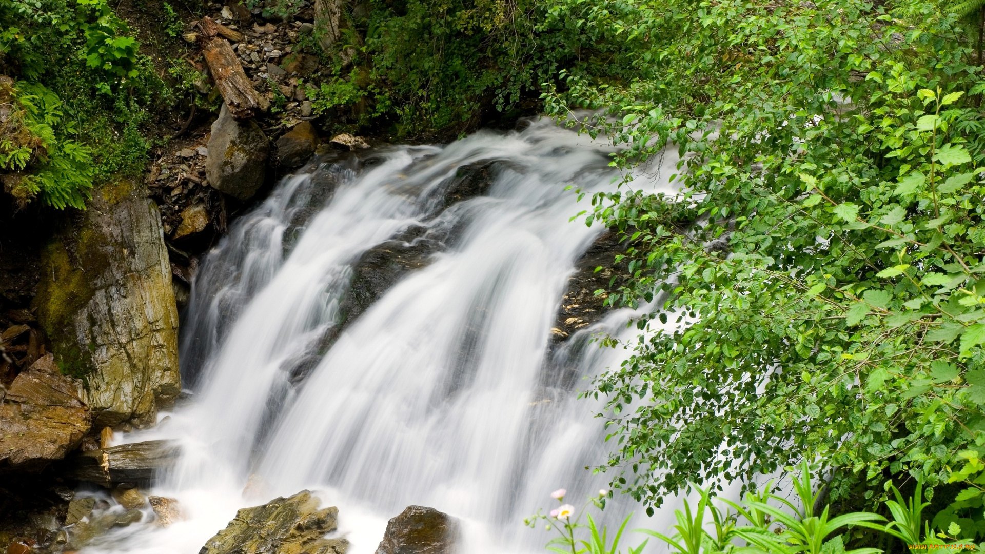 природа, реки, озера, вода, поток