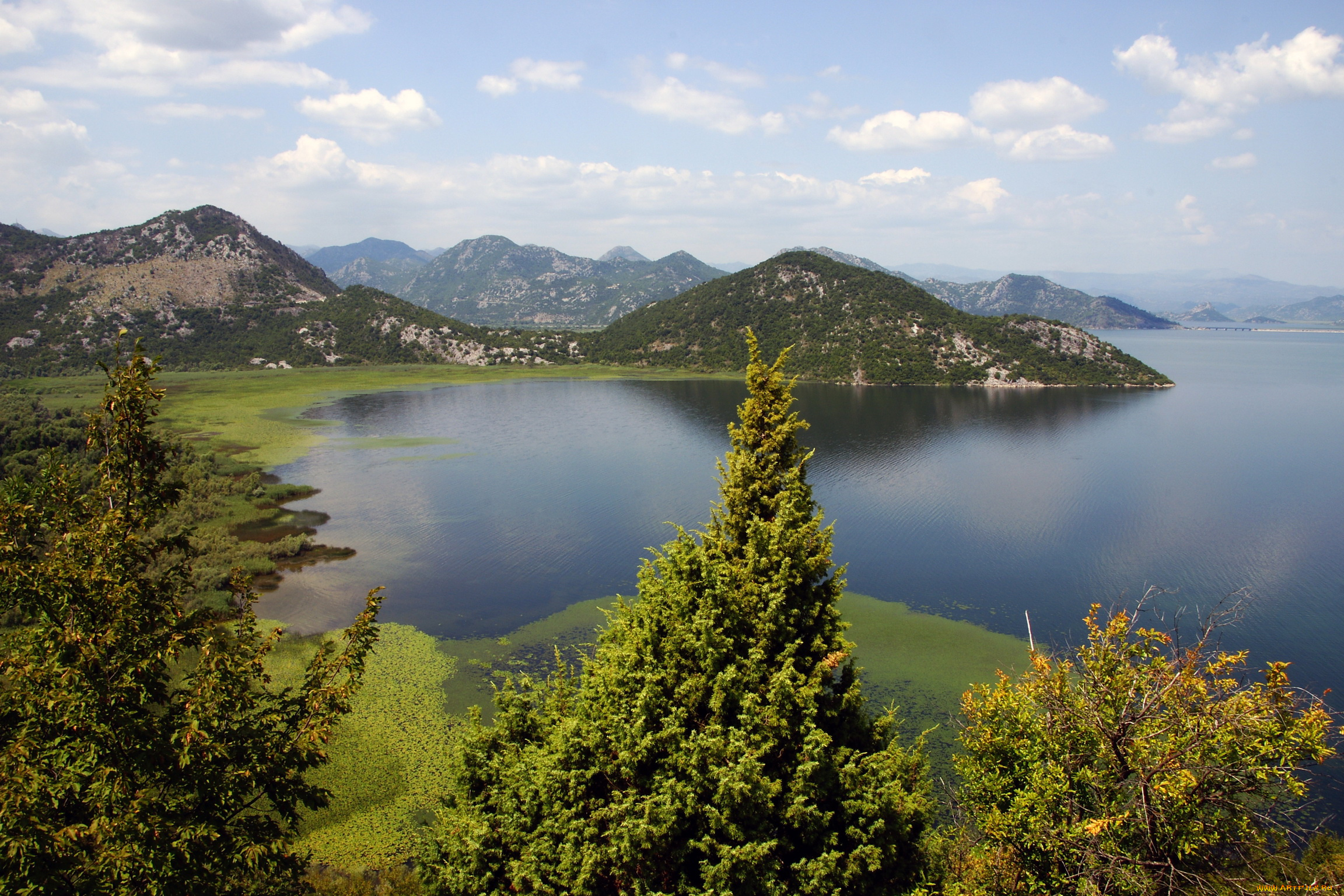skadarsko, jezero, Черногория, природа, реки, озера, озеро