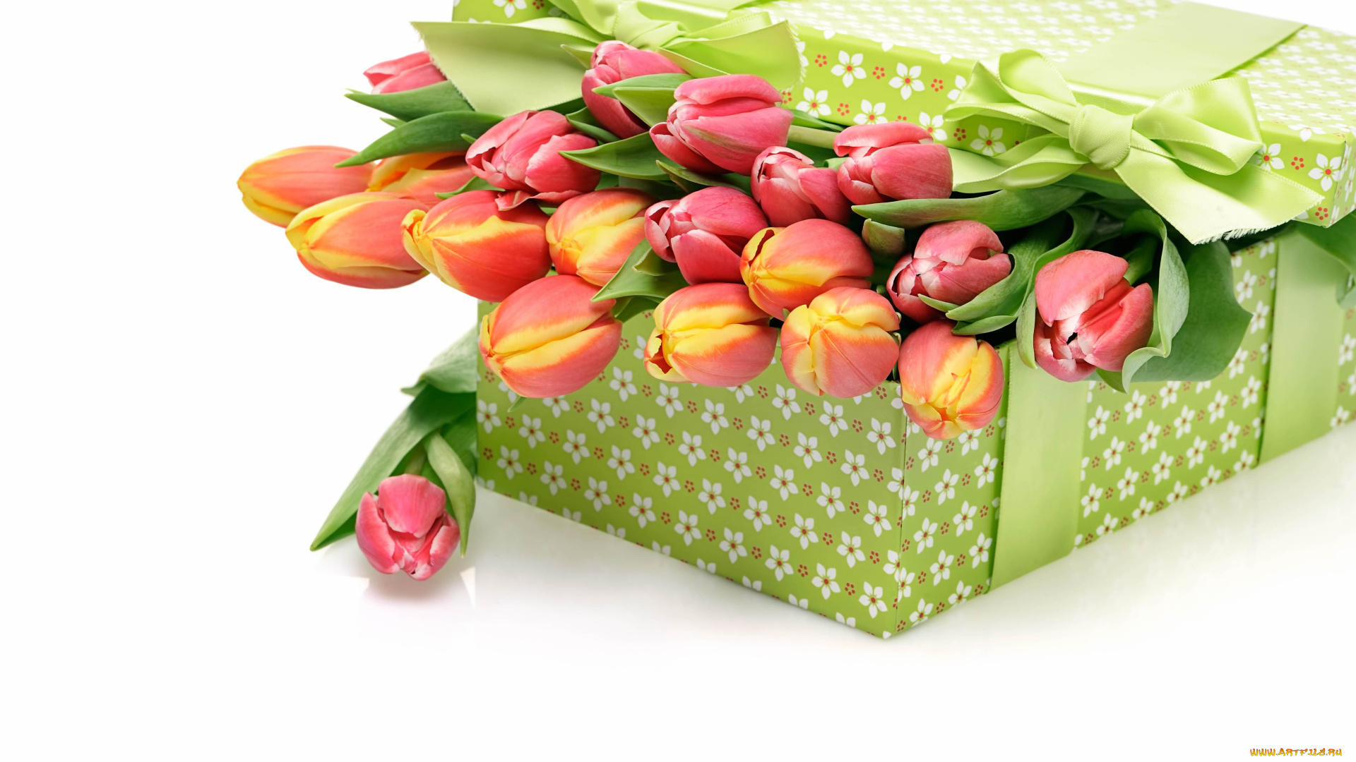 цветы, тюльпаны, коробка, бутоны, бант