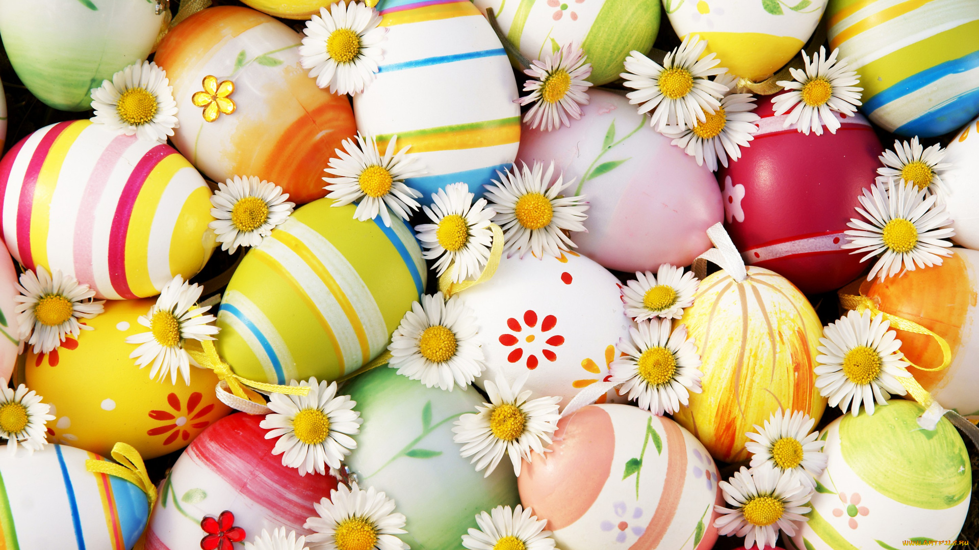 праздничные, пасха, easter, цветы, яйца, flowers, eggs, ромашки