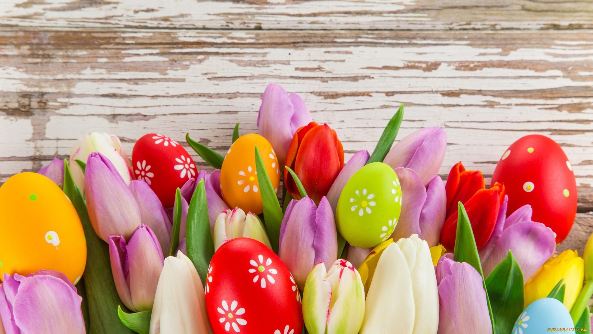 праздничные, пасха, easter, tulips, eggs, colorful, spring, яйца, тюльпаны, цветы, весна