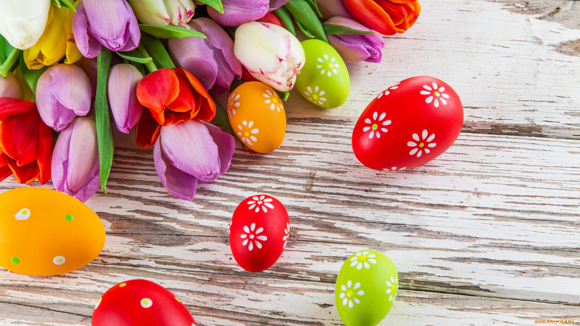 праздничные, пасха, easter, tulips, eggs, colorful, spring, яйца, тюльпаны, цветы