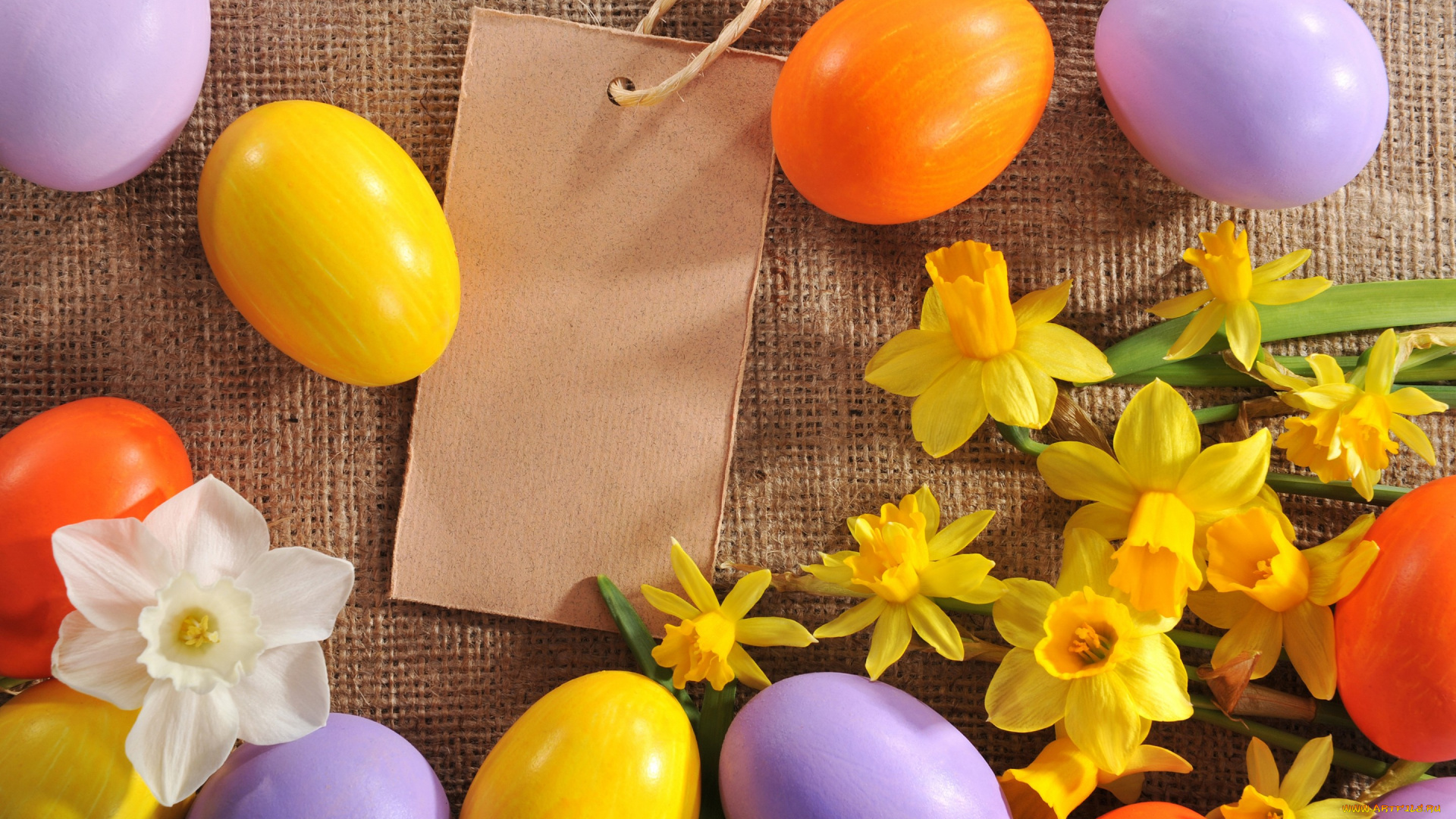 праздничные, пасха, нарциссы, цветы, яйца, spring, flowers, eggs, easter