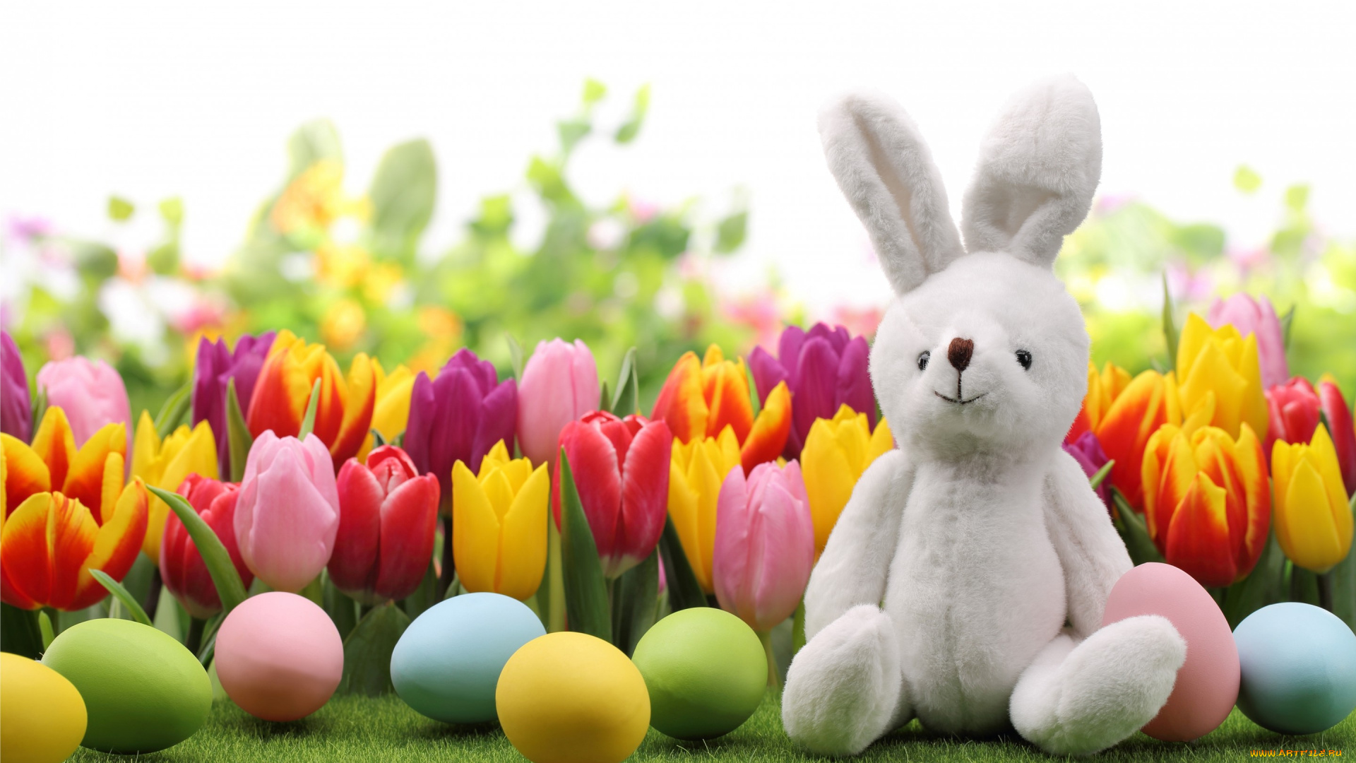 праздничные, пасха, тюльпаны, кролик, яйца, bunny, tulips, flowers, spring, eggs, easter
