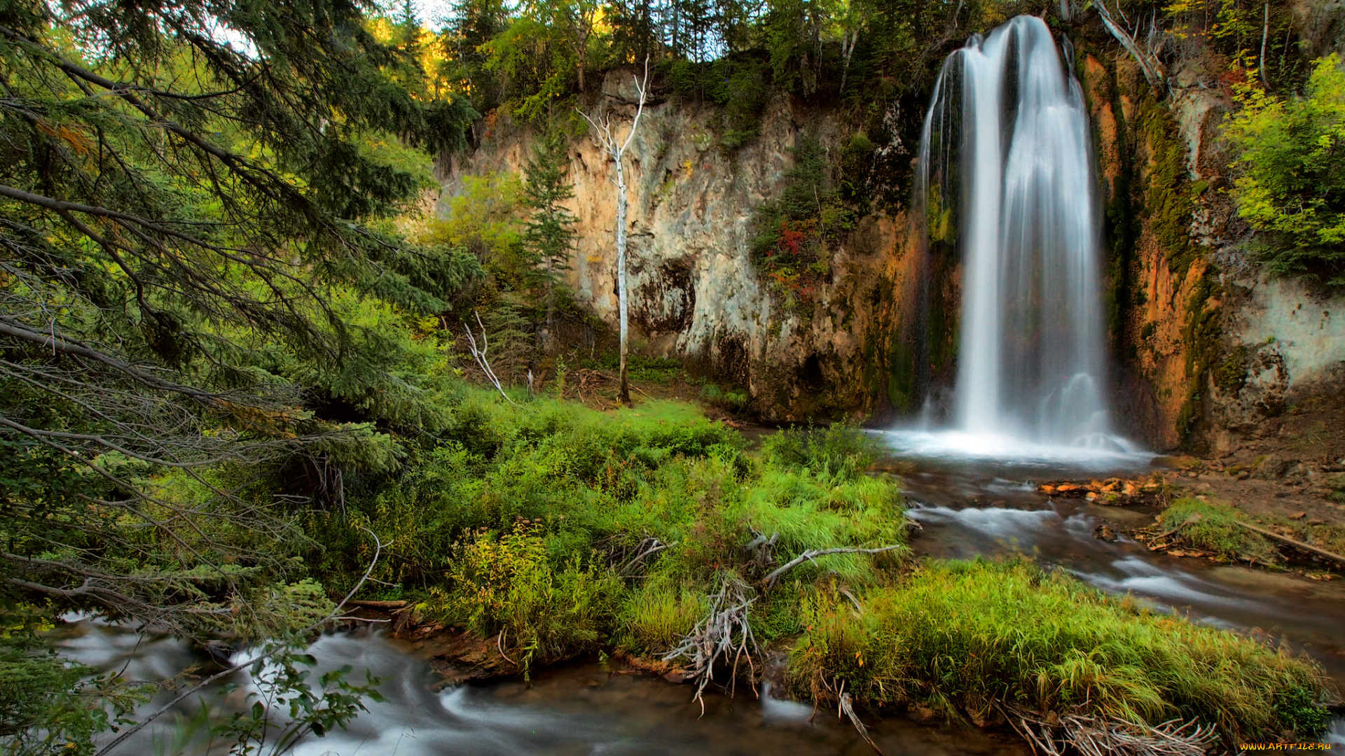 природа, водопады, лес, водопад, река