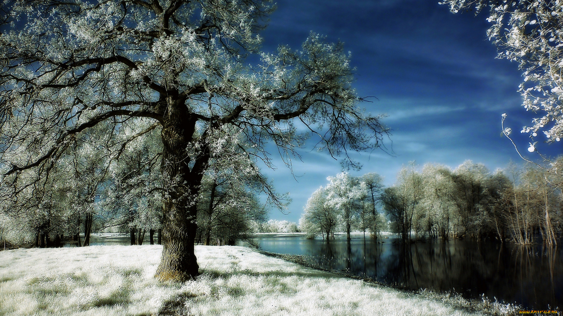 природа, зима, иней, деревья, река