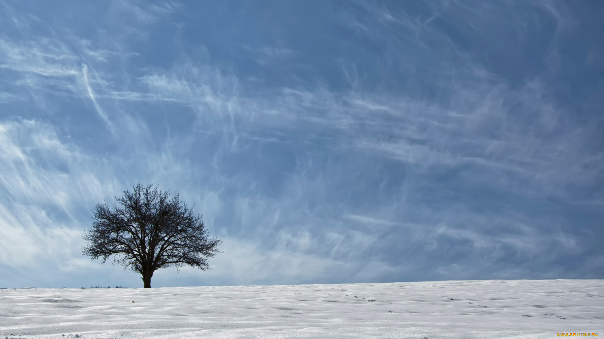 природа, зима, небо, снег, дерево, азия, этногеографическая, область, курдистан